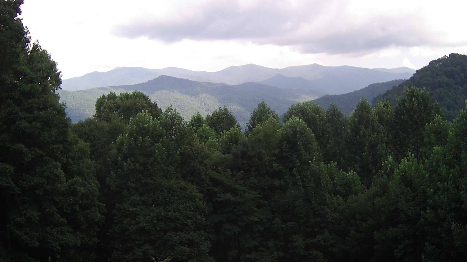 click for next image... slideshow image