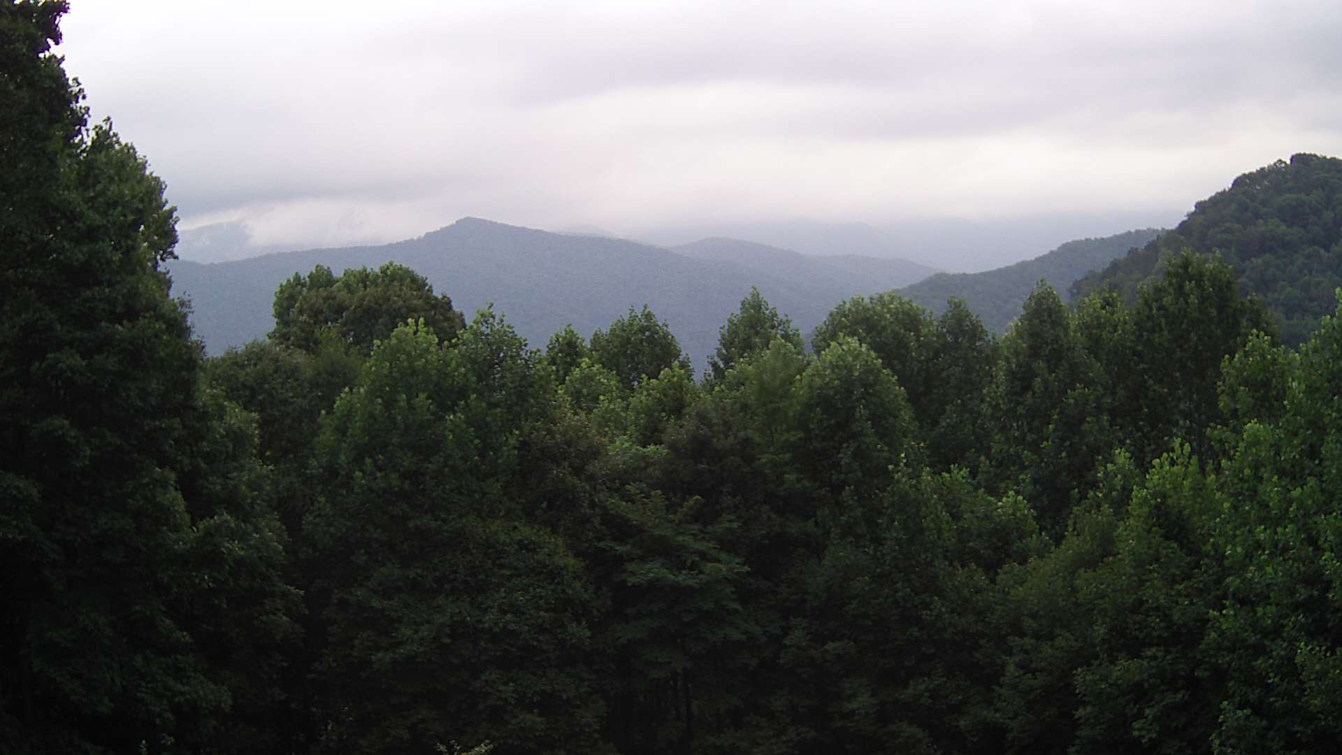 click for next image... slideshow image