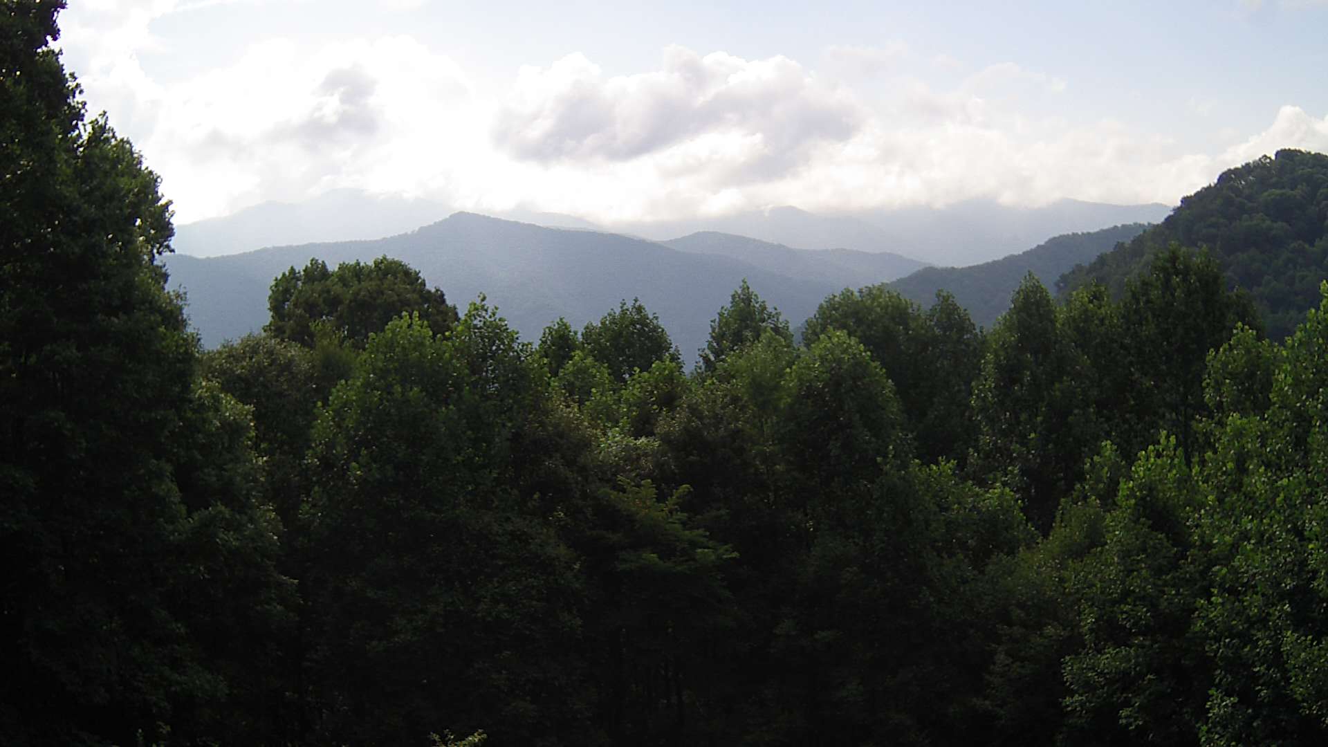 click for next image... slideshow image