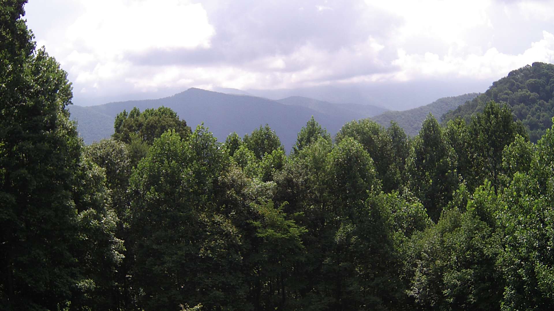 click for next image... slideshow image