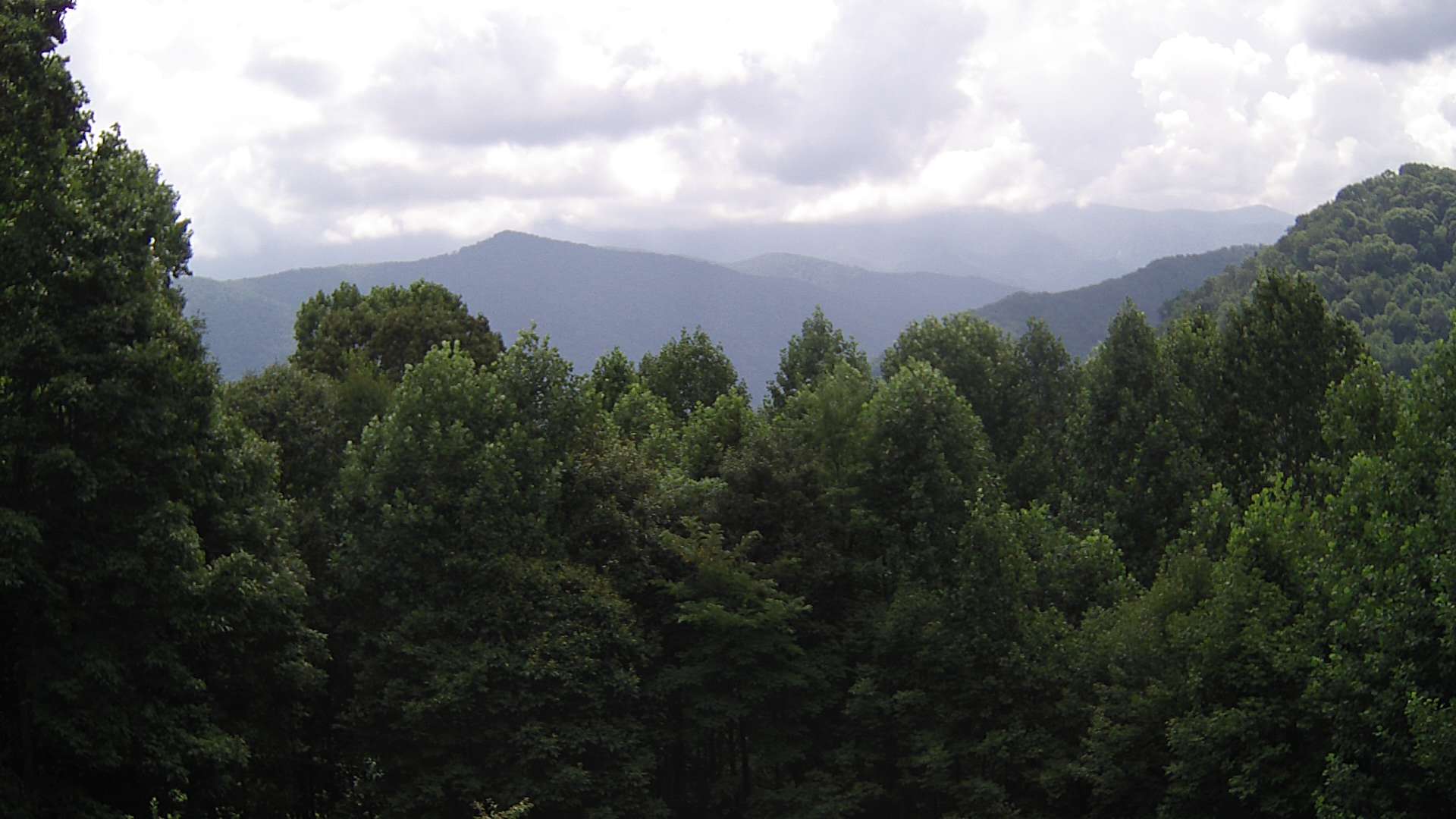 click for next image... slideshow image