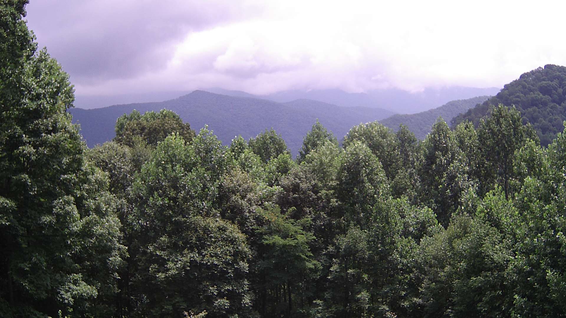 click for next image... slideshow image