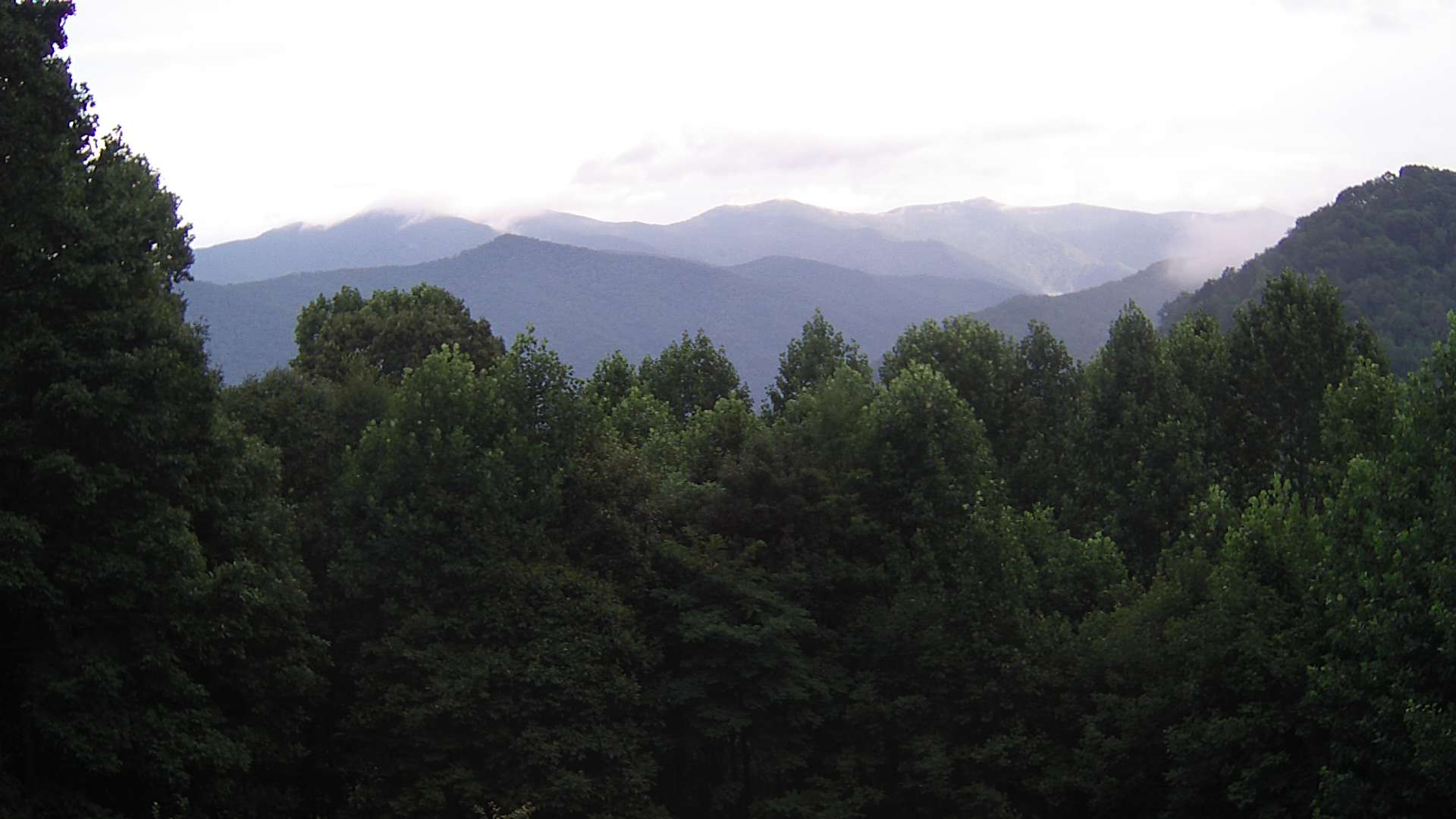 click for next image... slideshow image