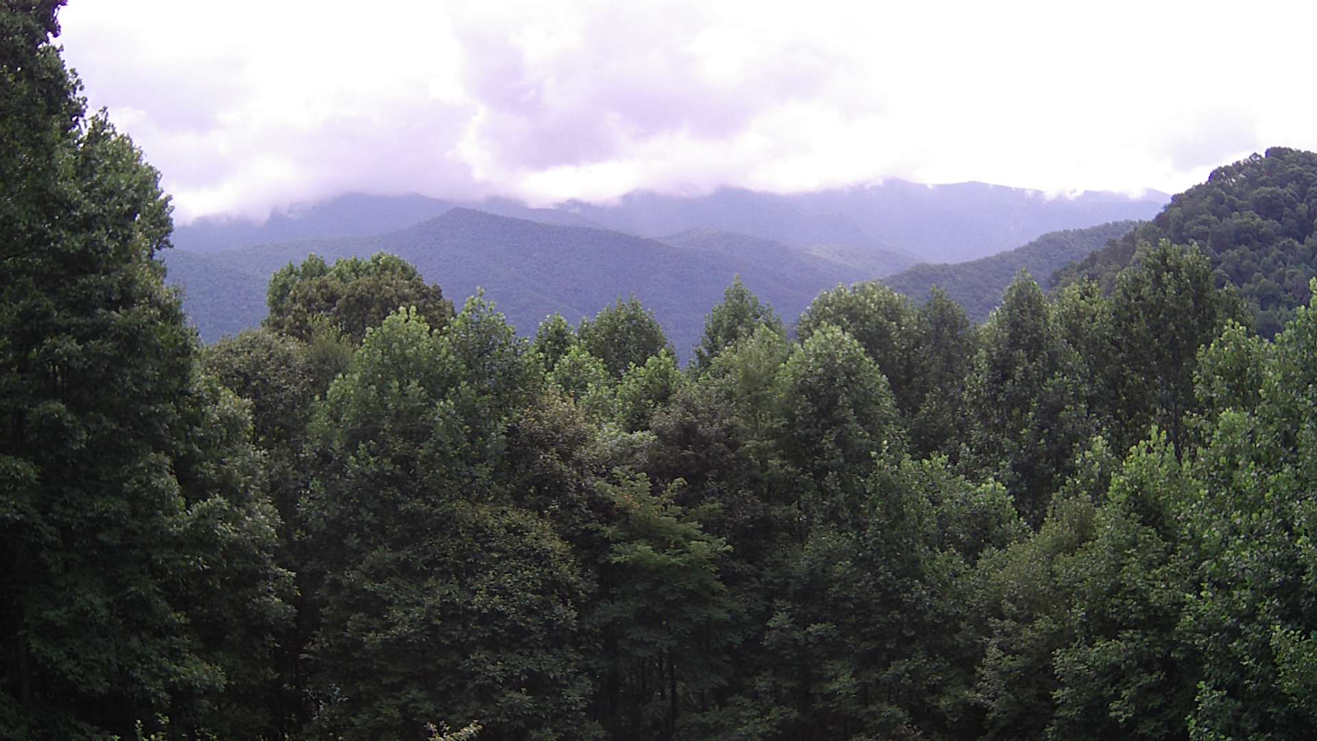 click for next image... slideshow image