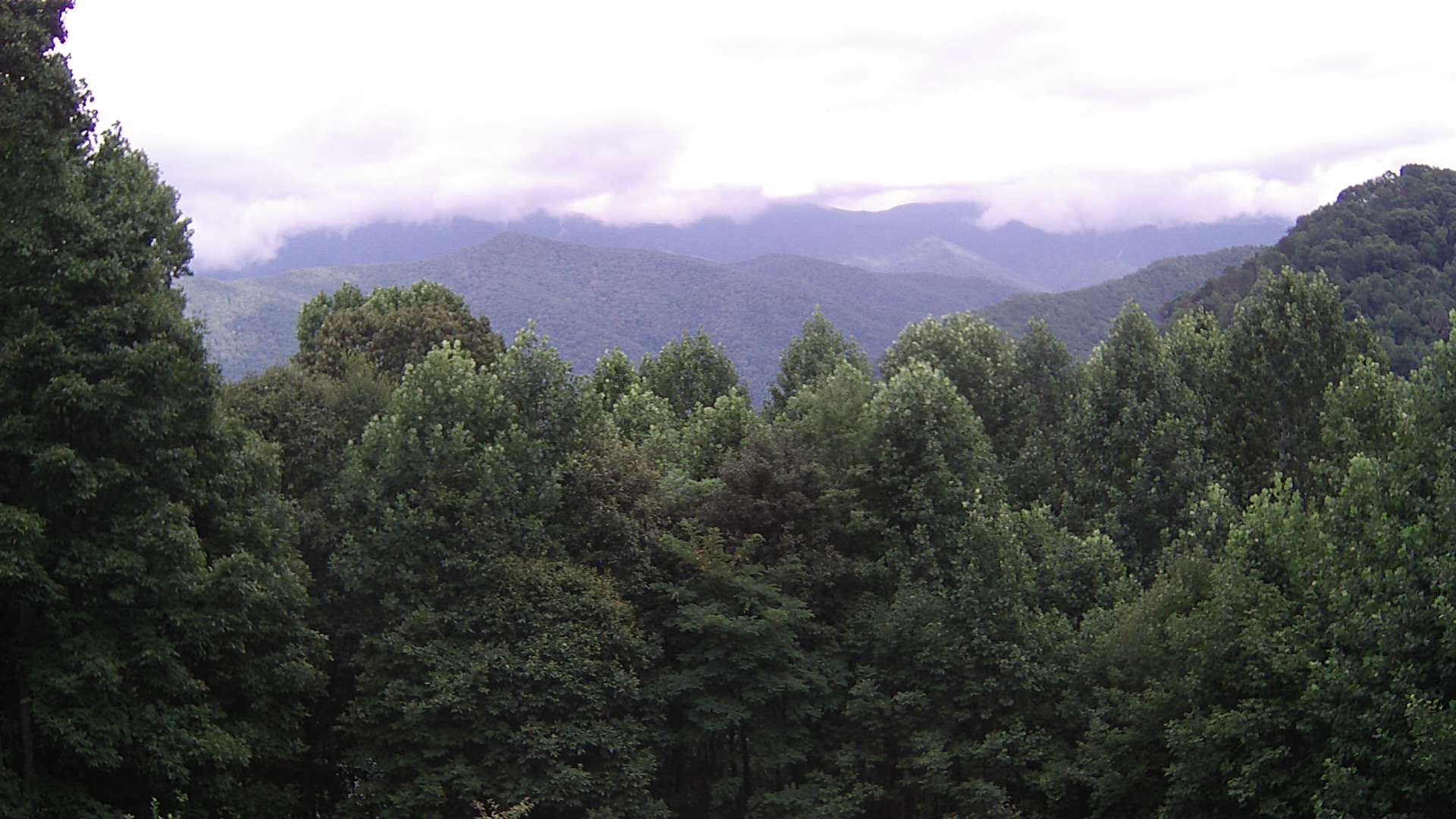 click for next image... slideshow image