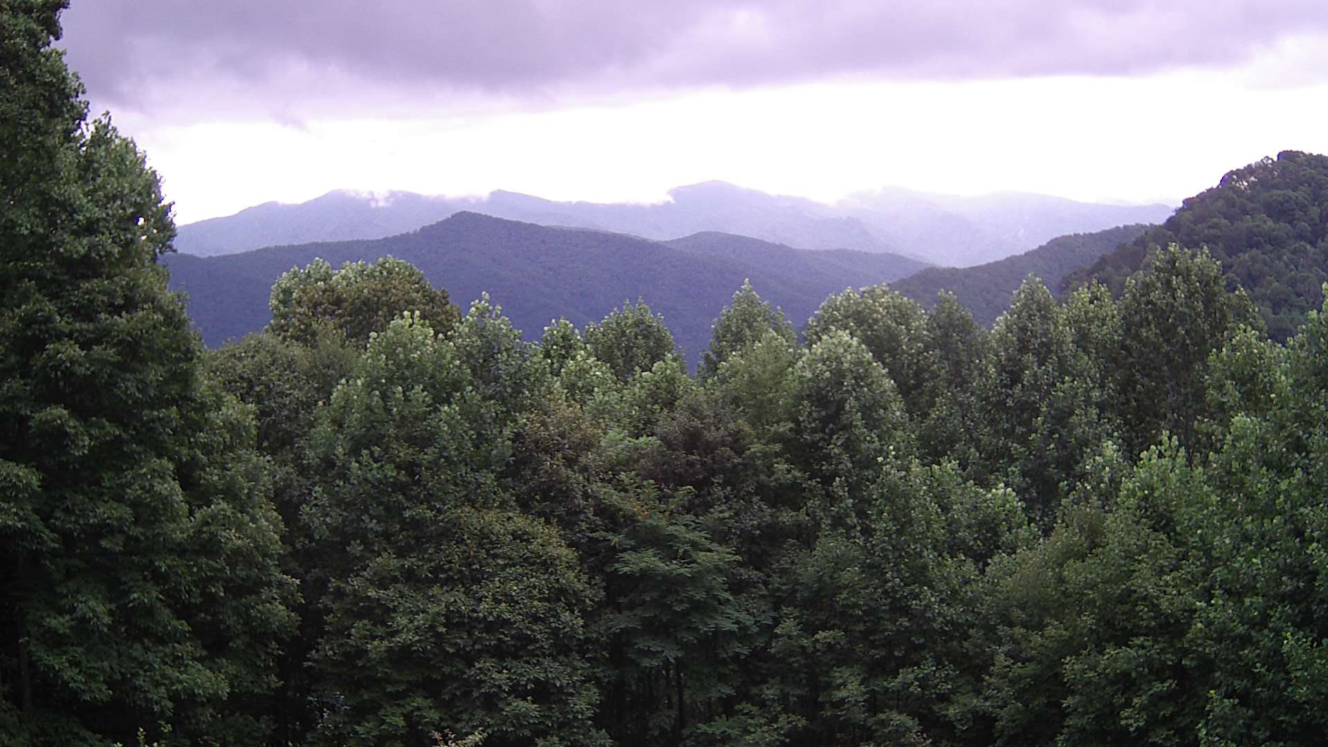 click for next image... slideshow image