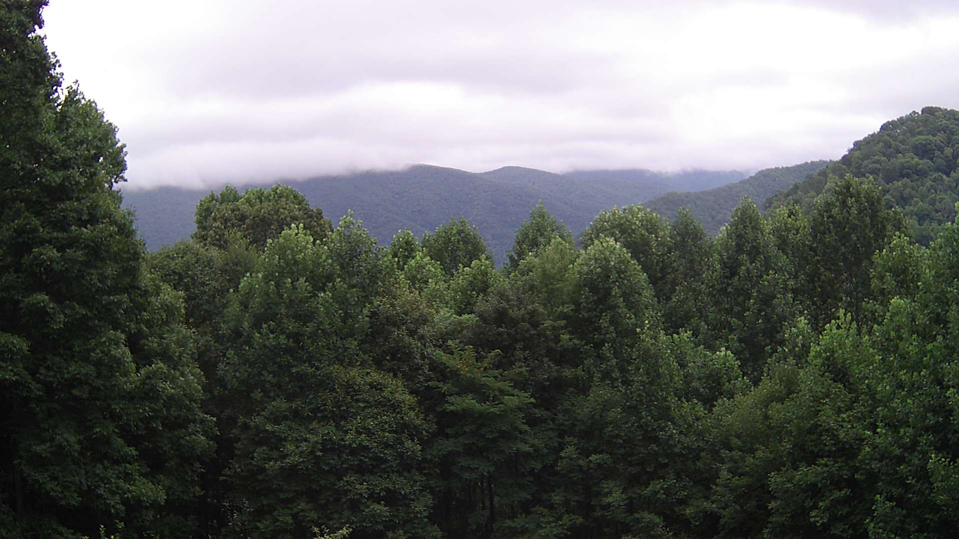 click for next image... slideshow image