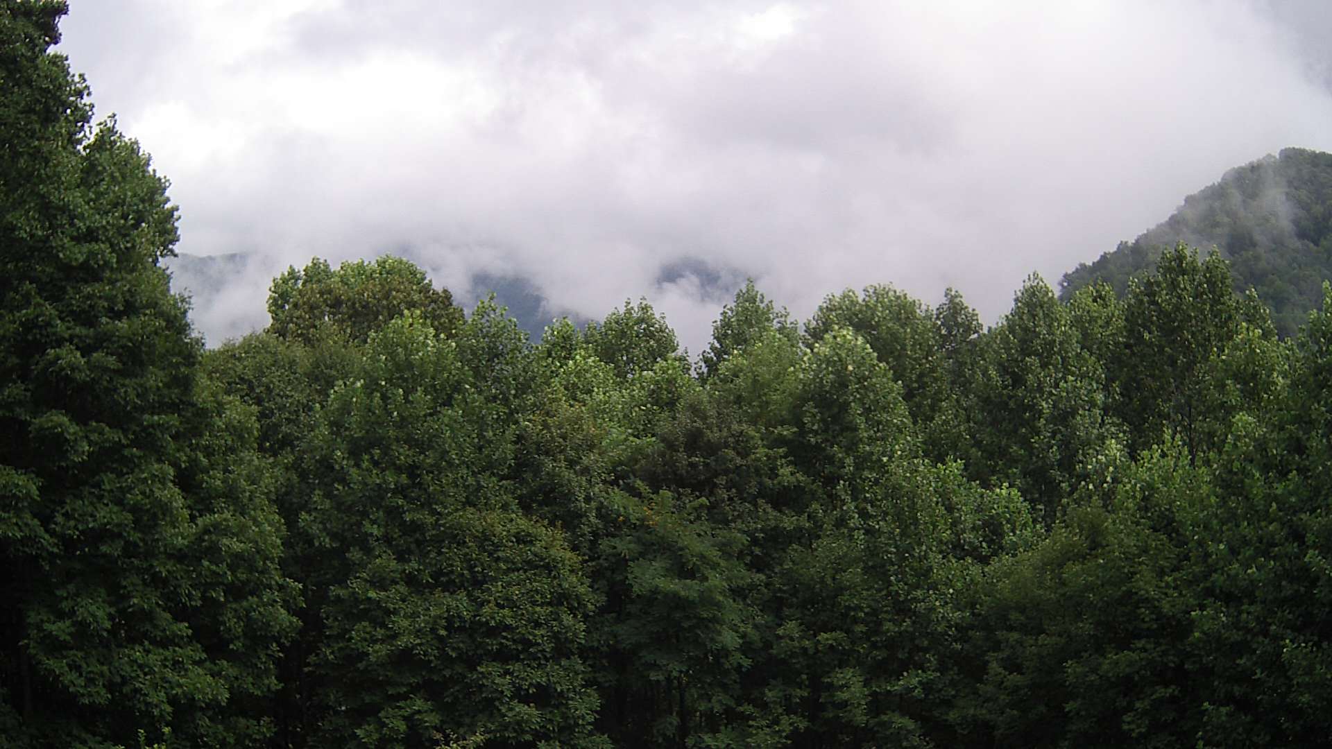 click for next image... slideshow image