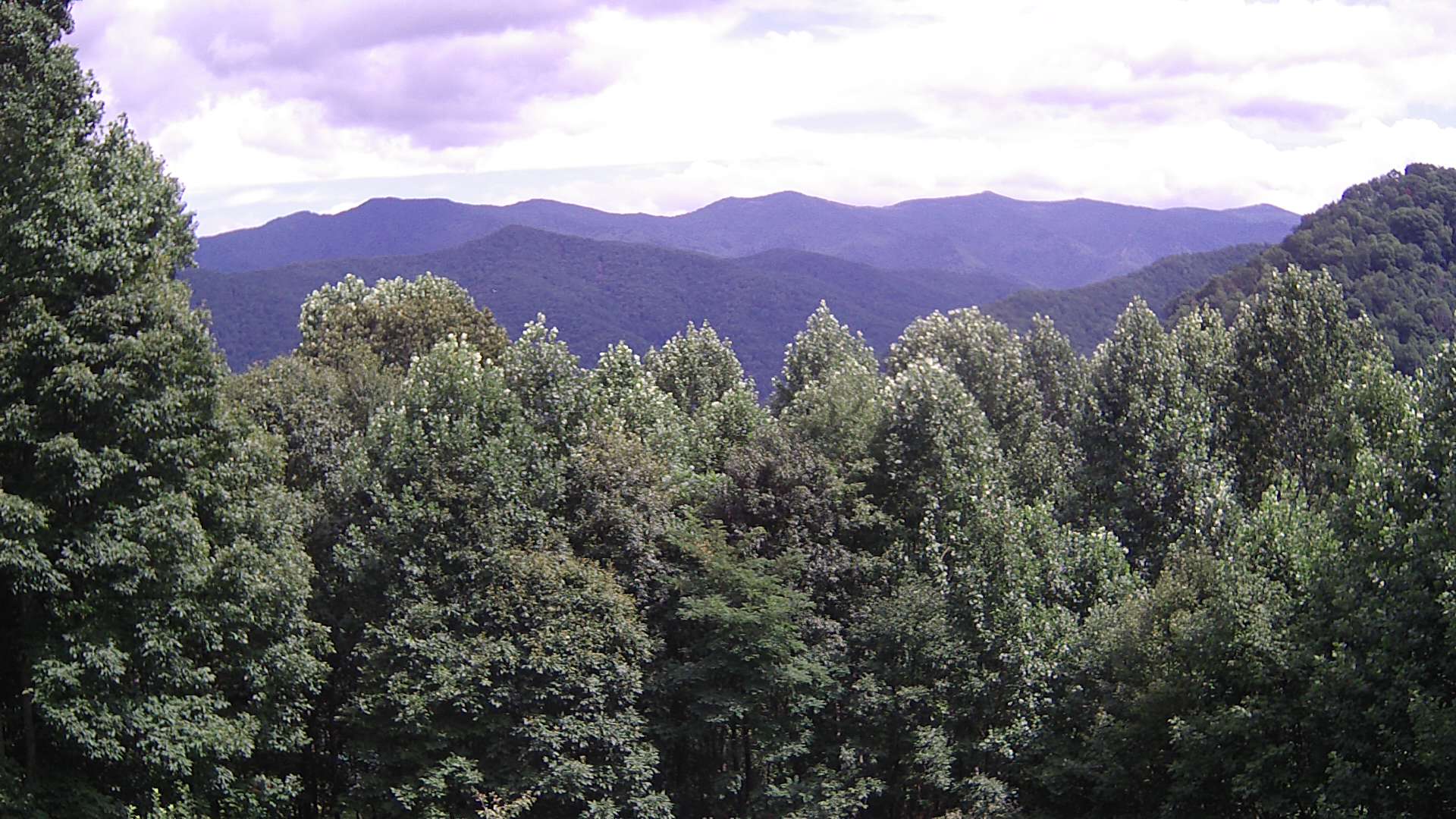 click for next image... slideshow image