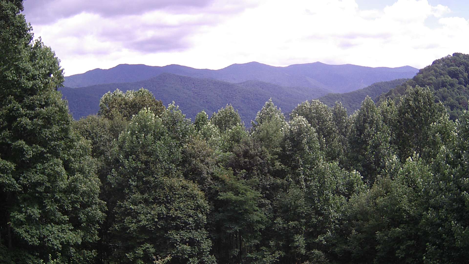 click for next image... slideshow image