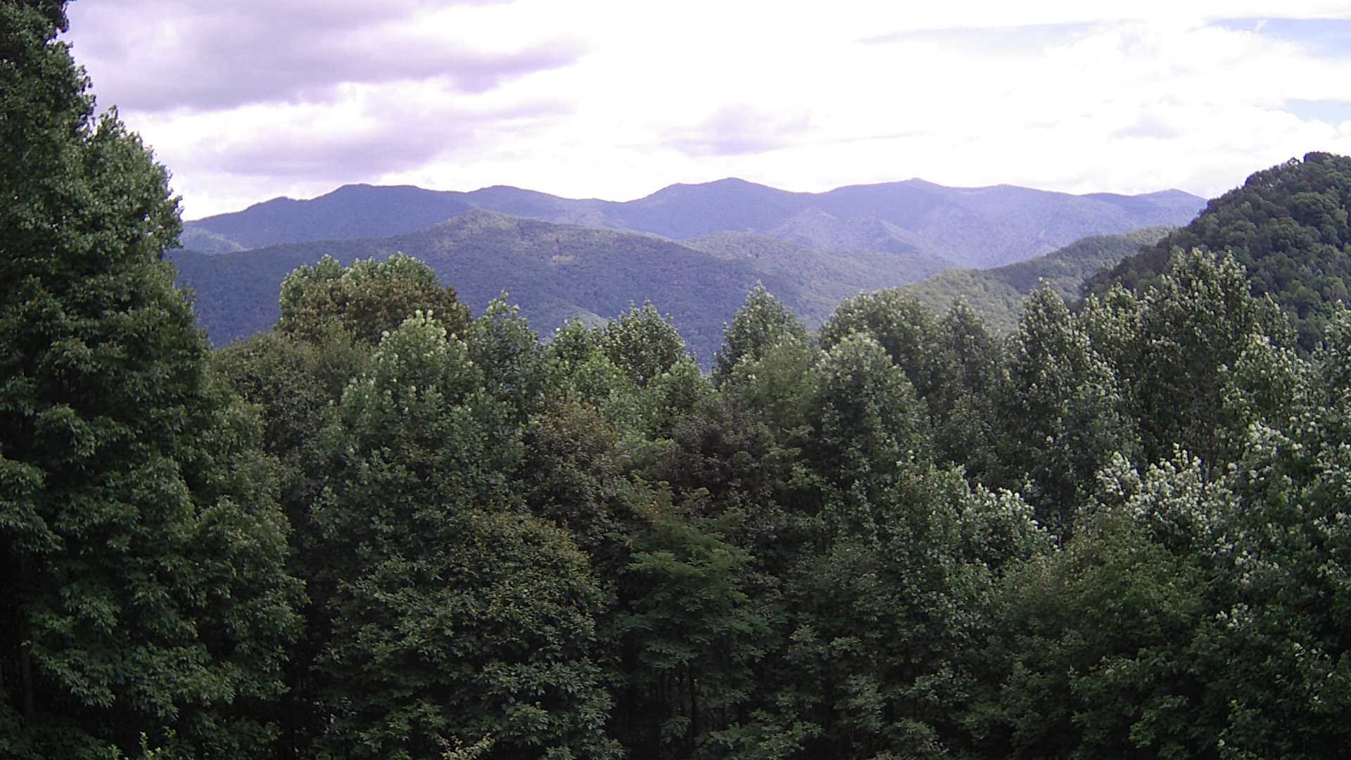 click for next image... slideshow image