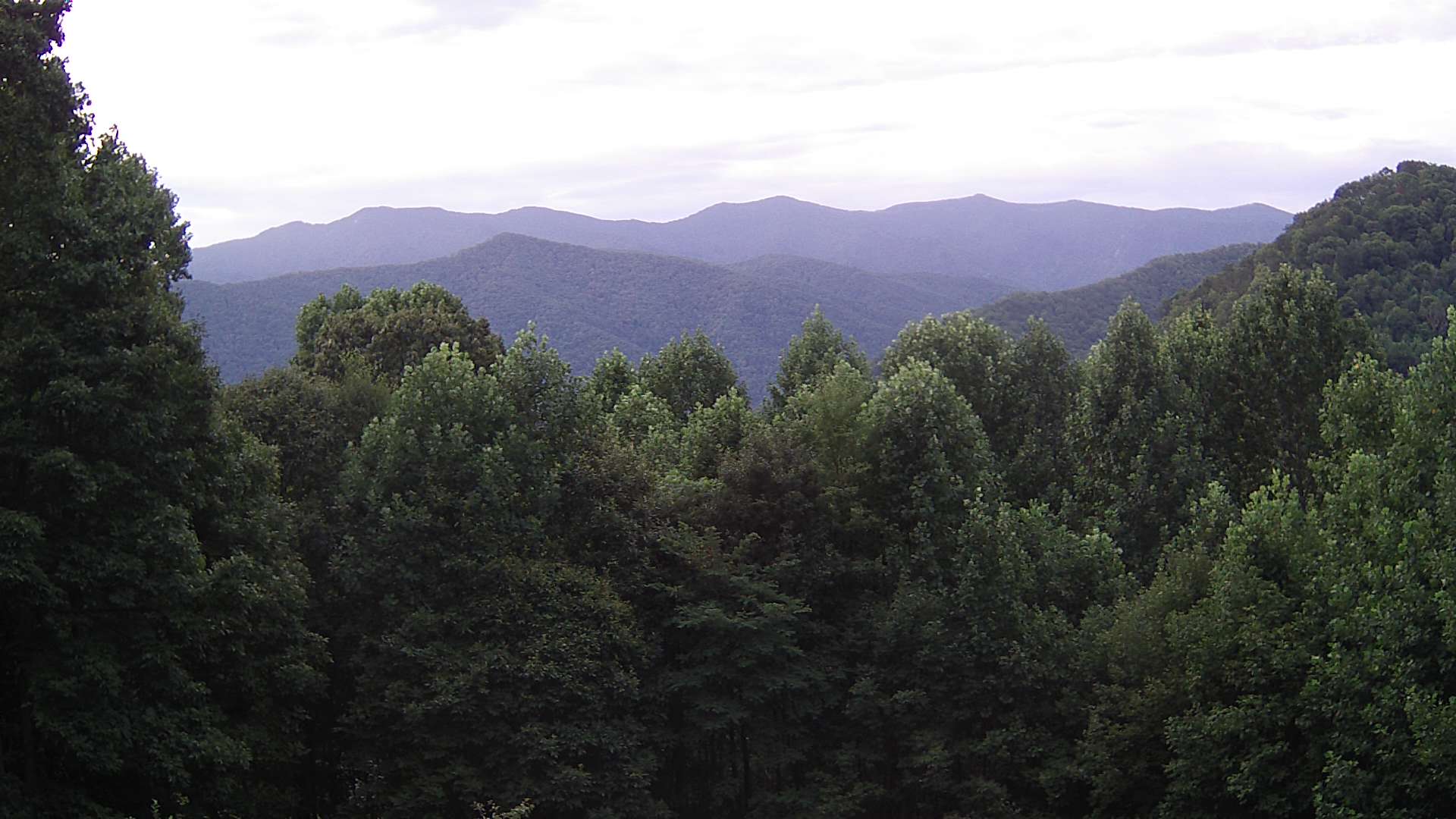 click for next image... slideshow image