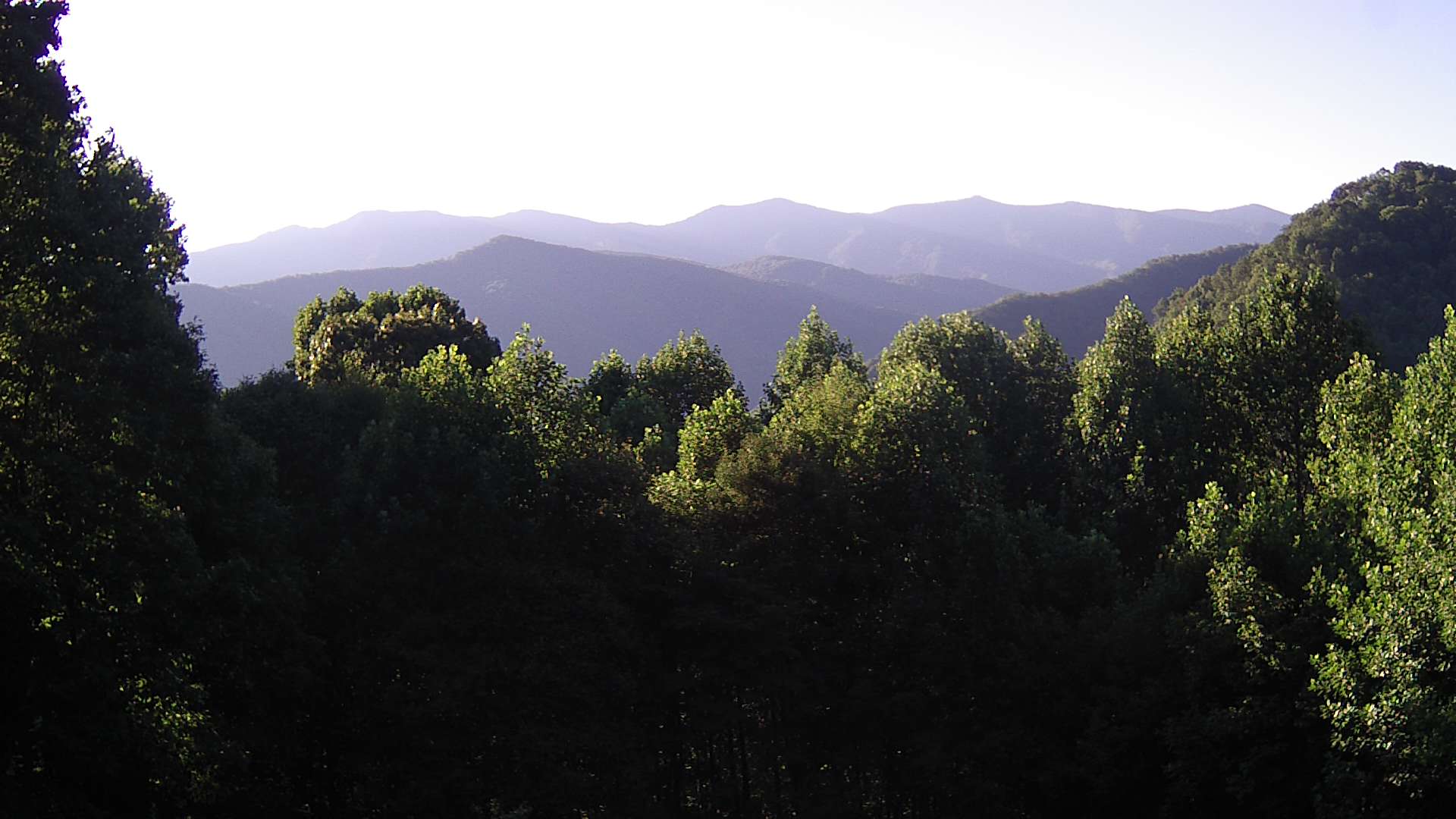 click for next image... slideshow image