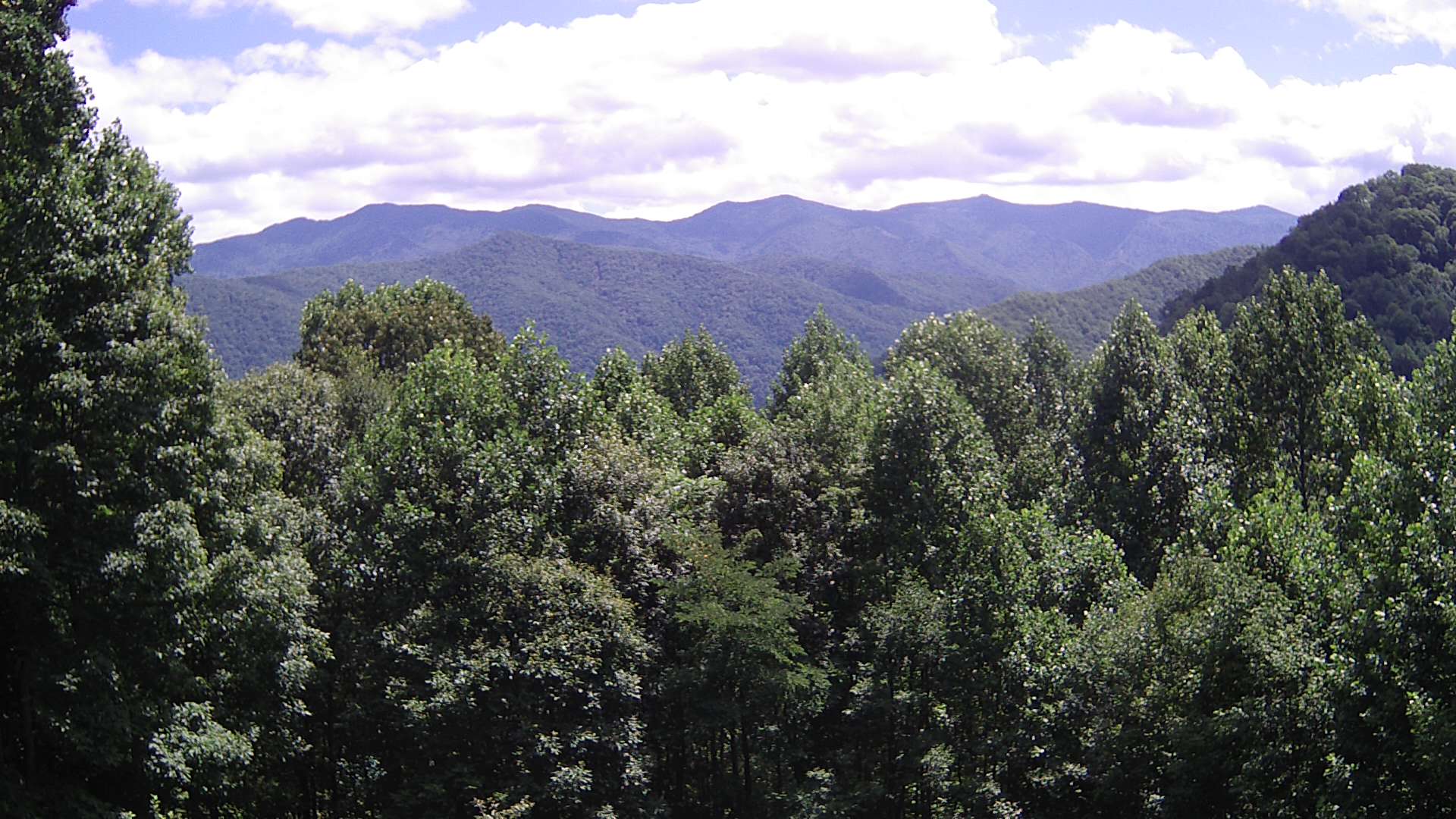 click for next image... slideshow image