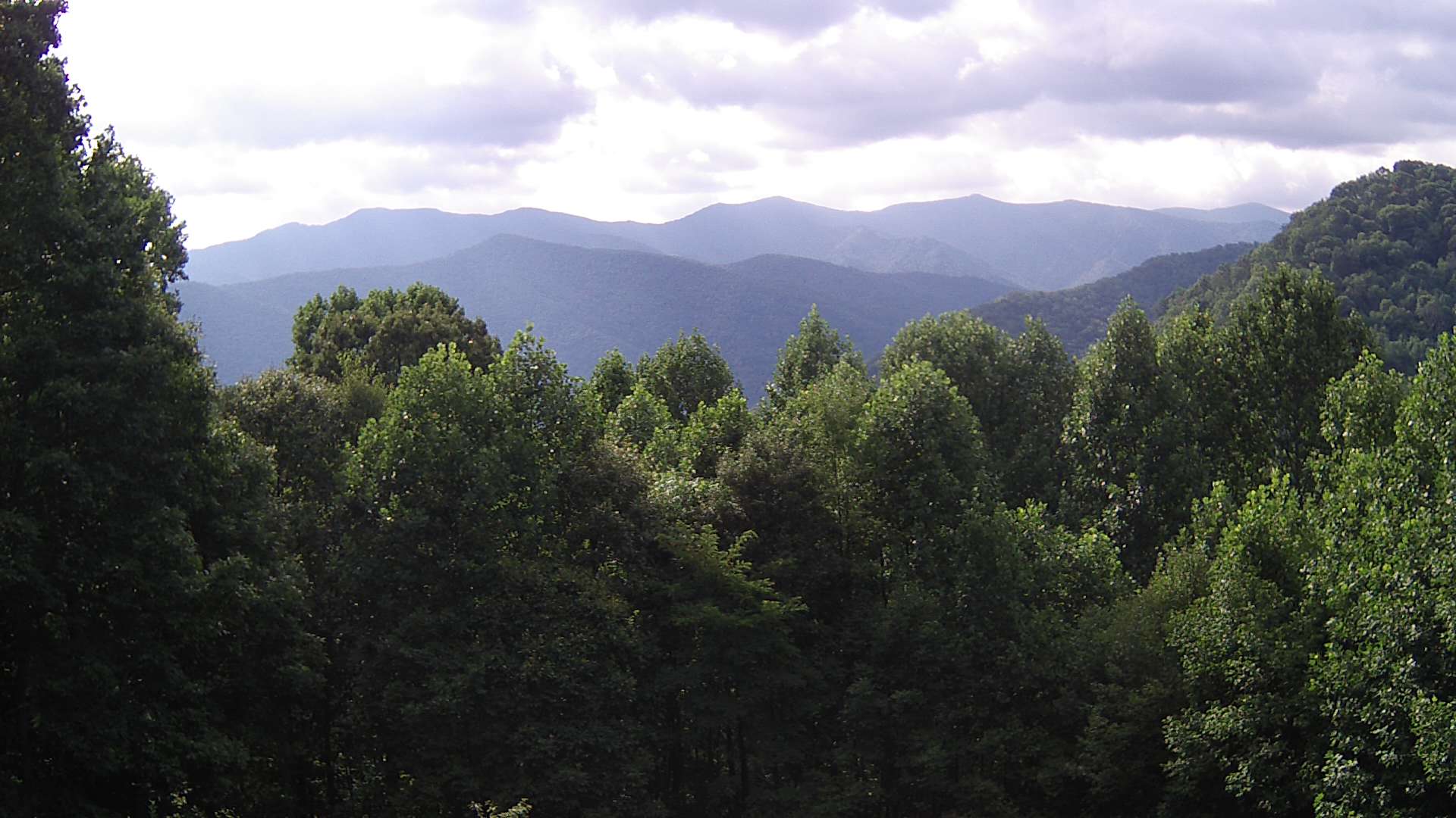 click for next image... slideshow image