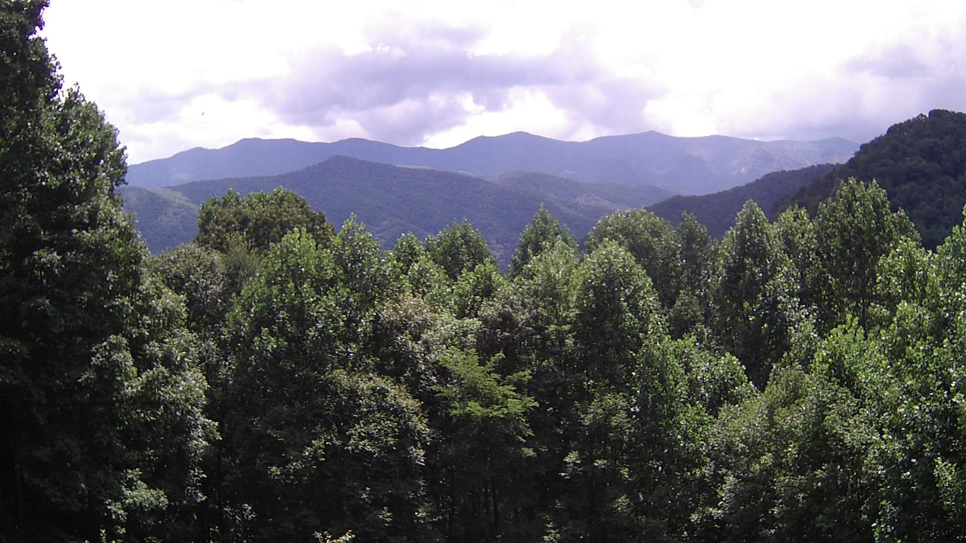 click for next image... slideshow image