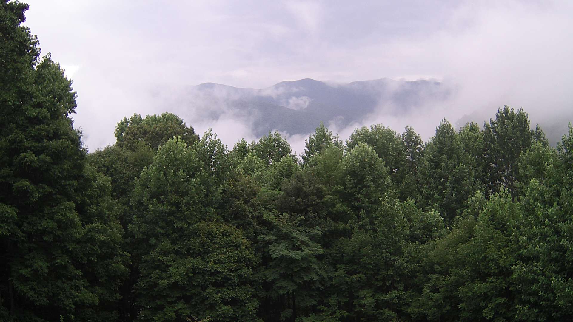 click for next image... slideshow image