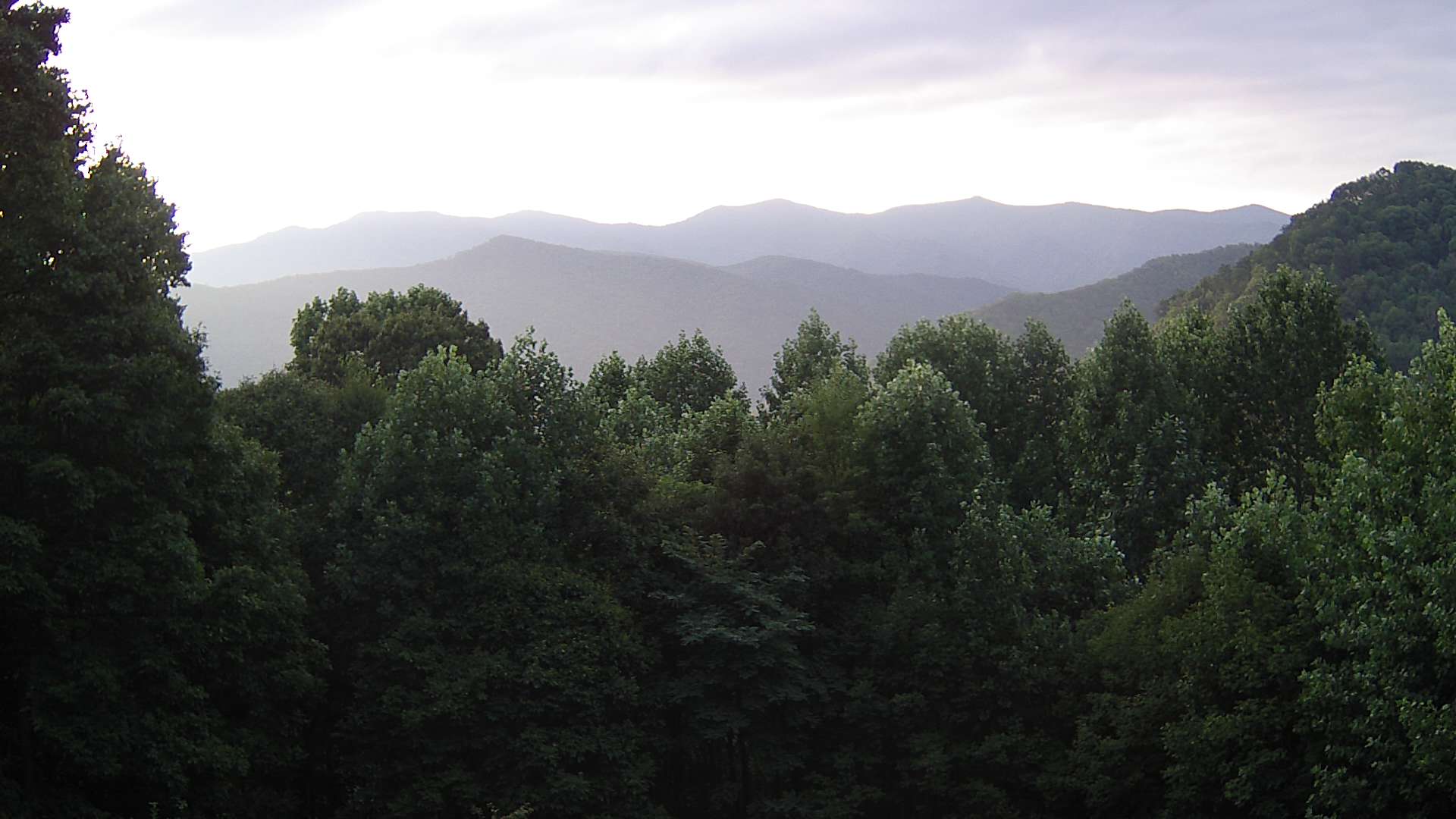 click for next image... slideshow image