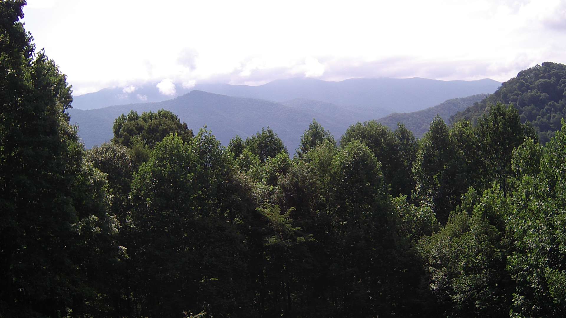 click for next image... slideshow image