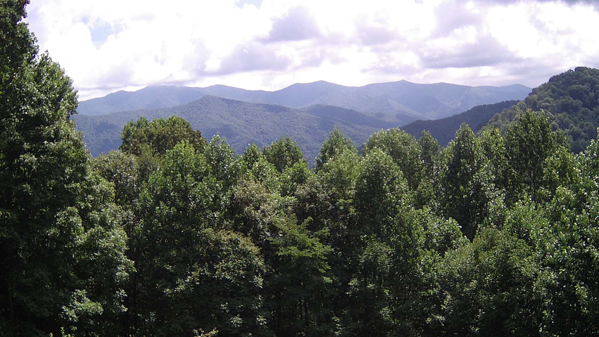 click for next image... slideshow image