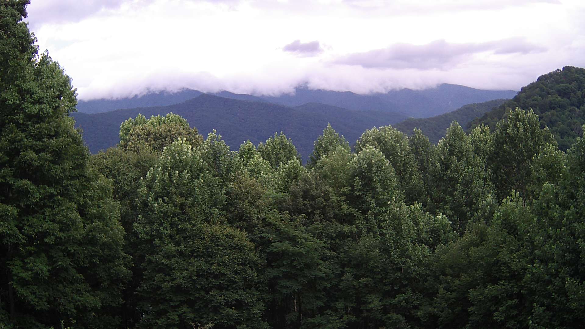 click for next image... slideshow image