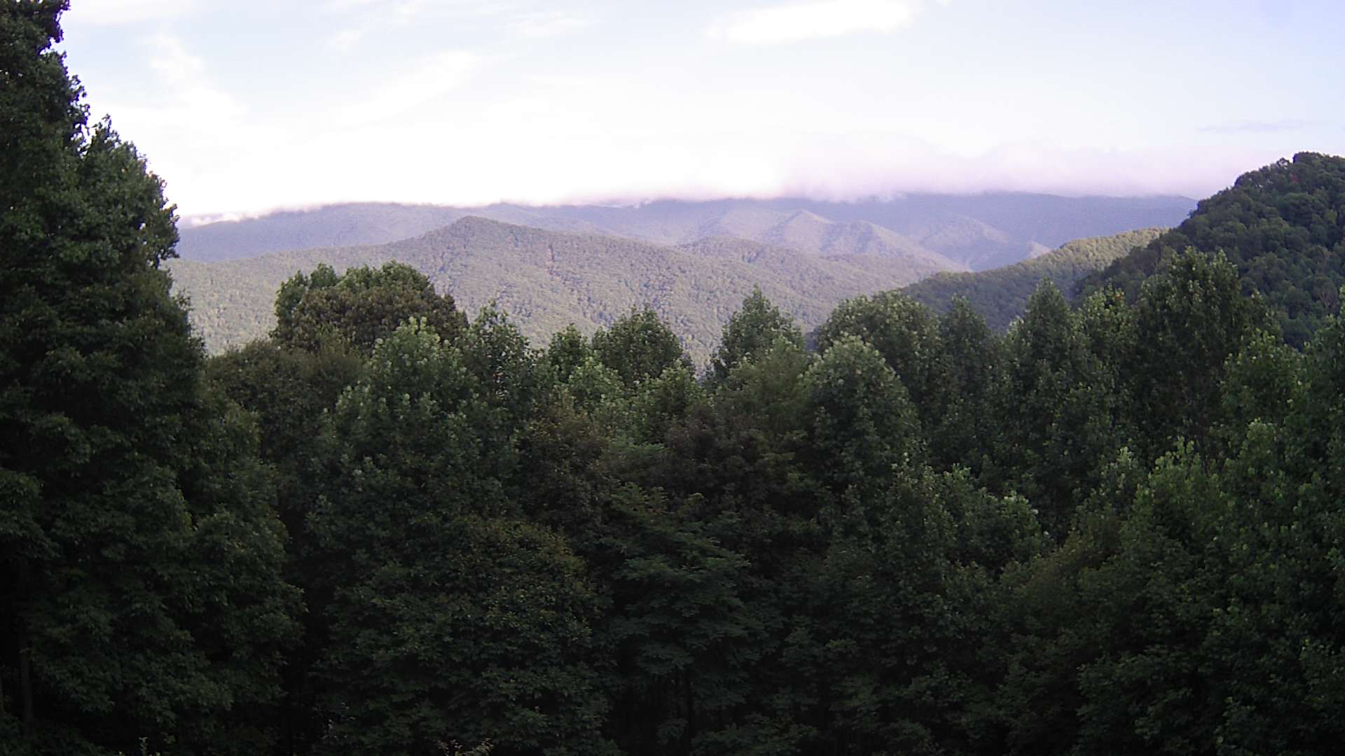 click for next image... slideshow image