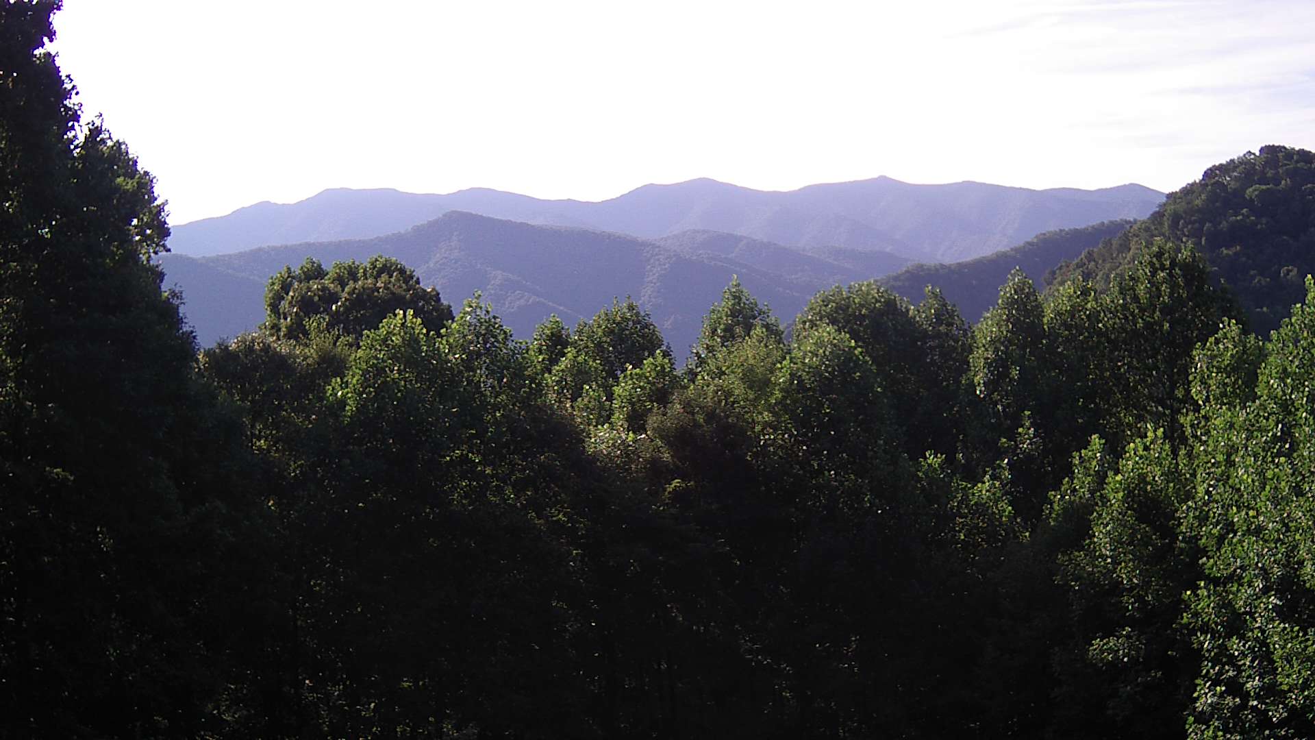 click for next image... slideshow image