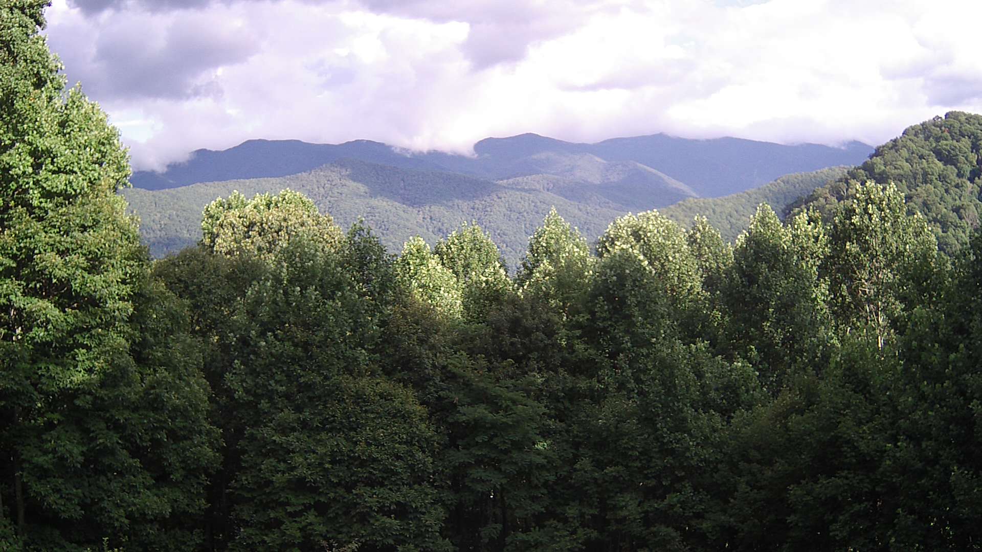 click for next image... slideshow image