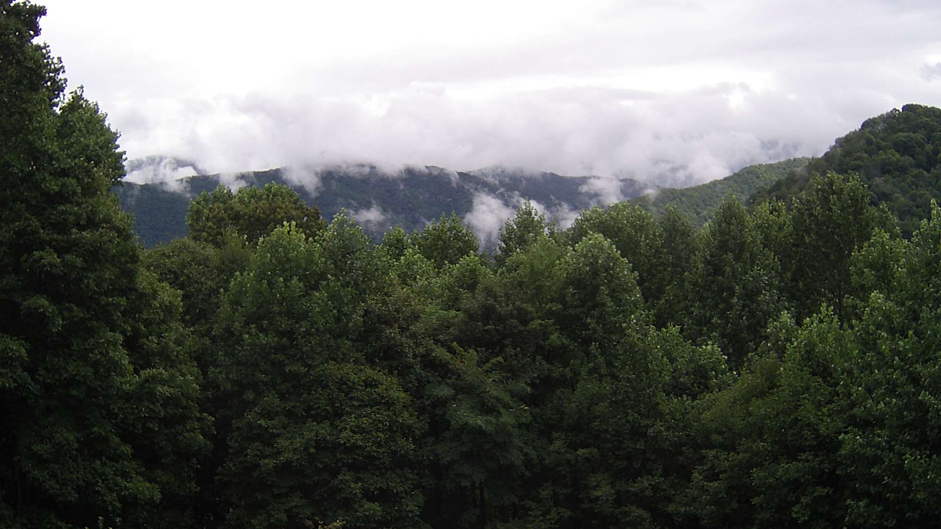 click for next image... slideshow image