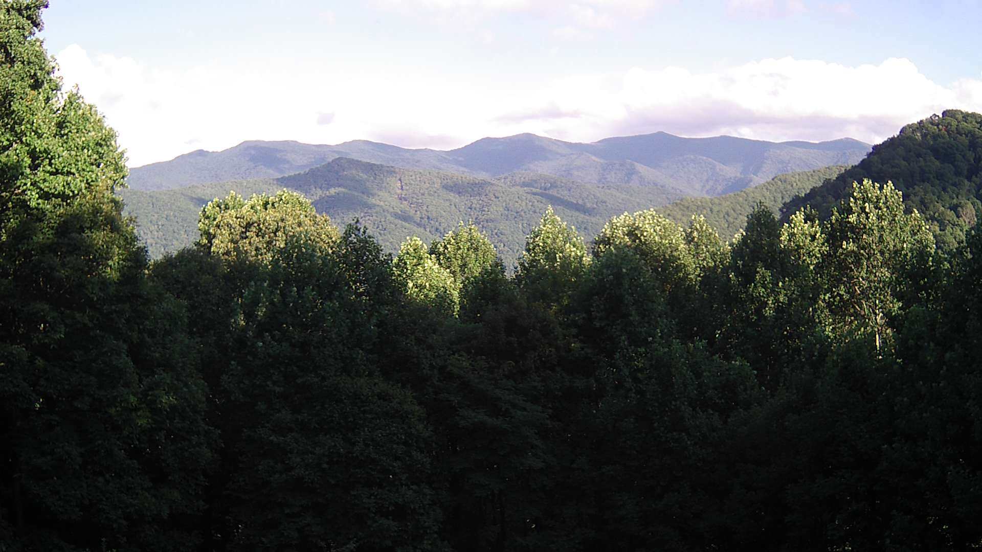 click for next image... slideshow image