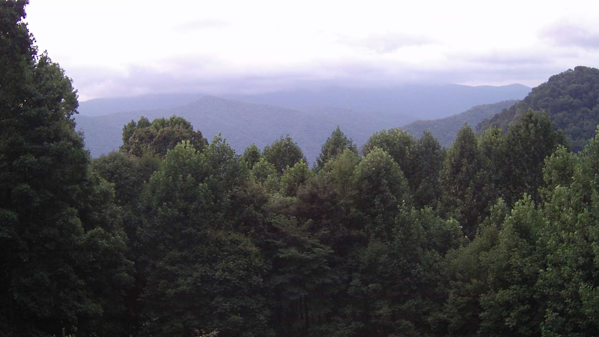 click for next image... slideshow image