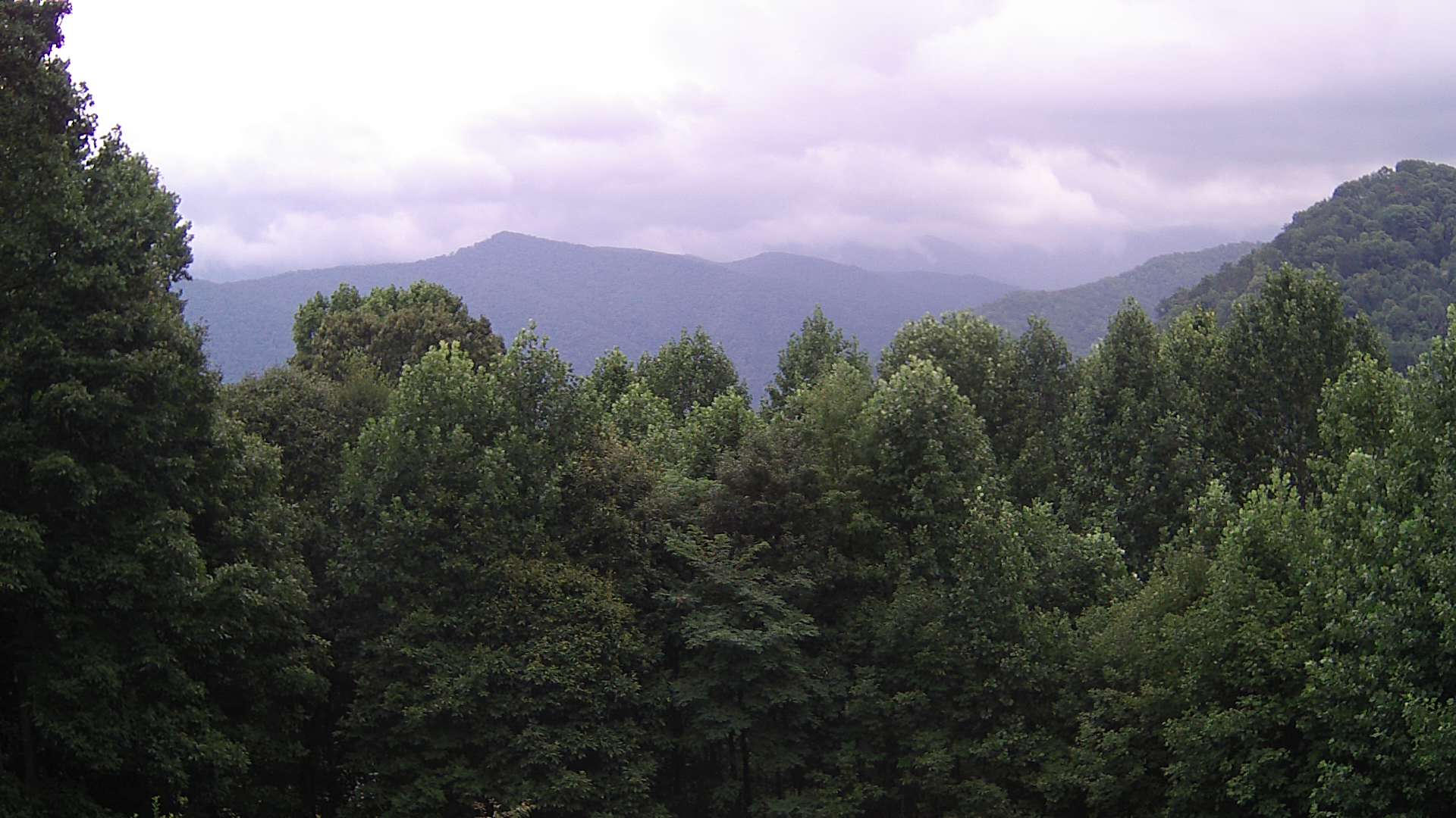 click for next image... slideshow image