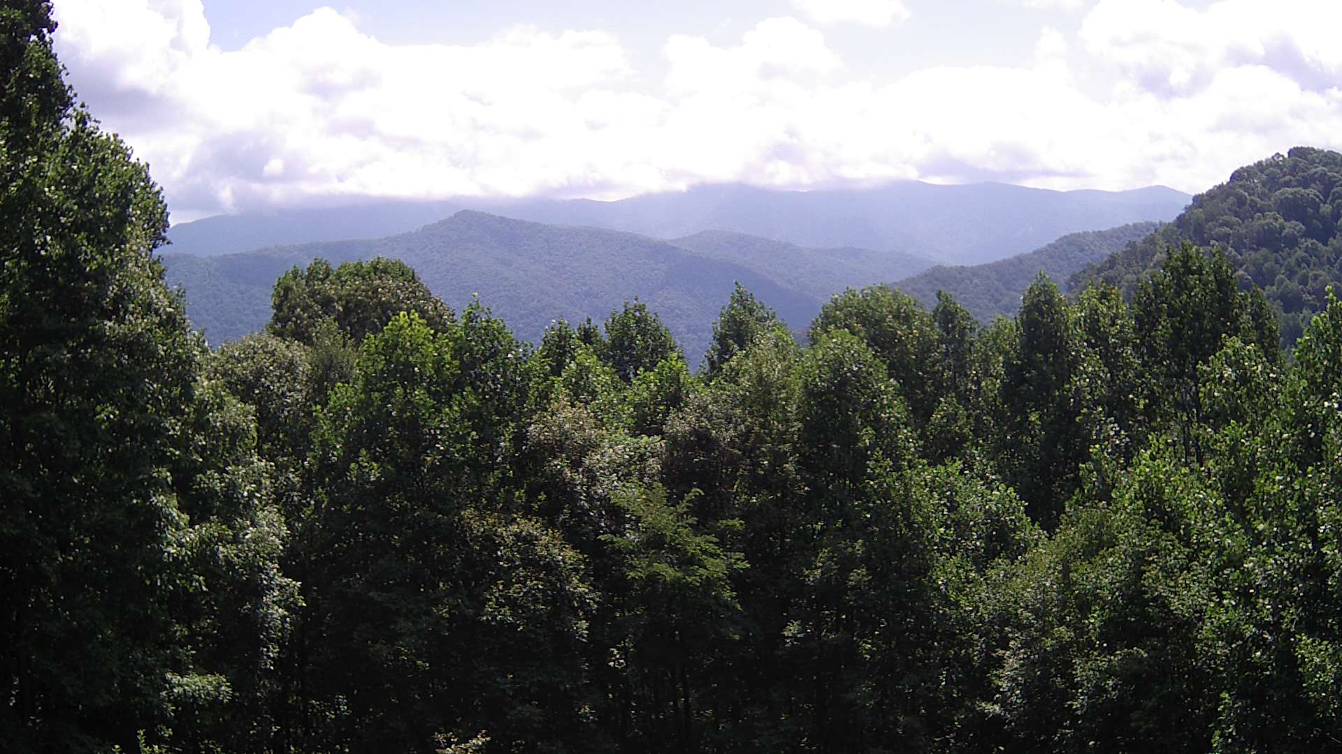 click for next image... slideshow image