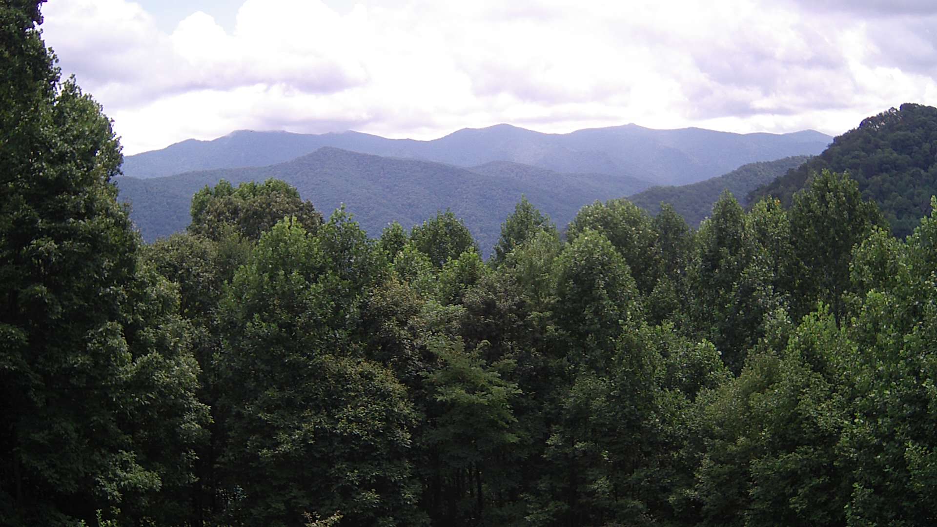 click for next image... slideshow image