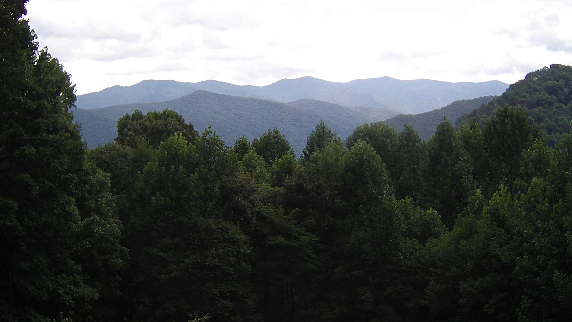 click for next image... slideshow image