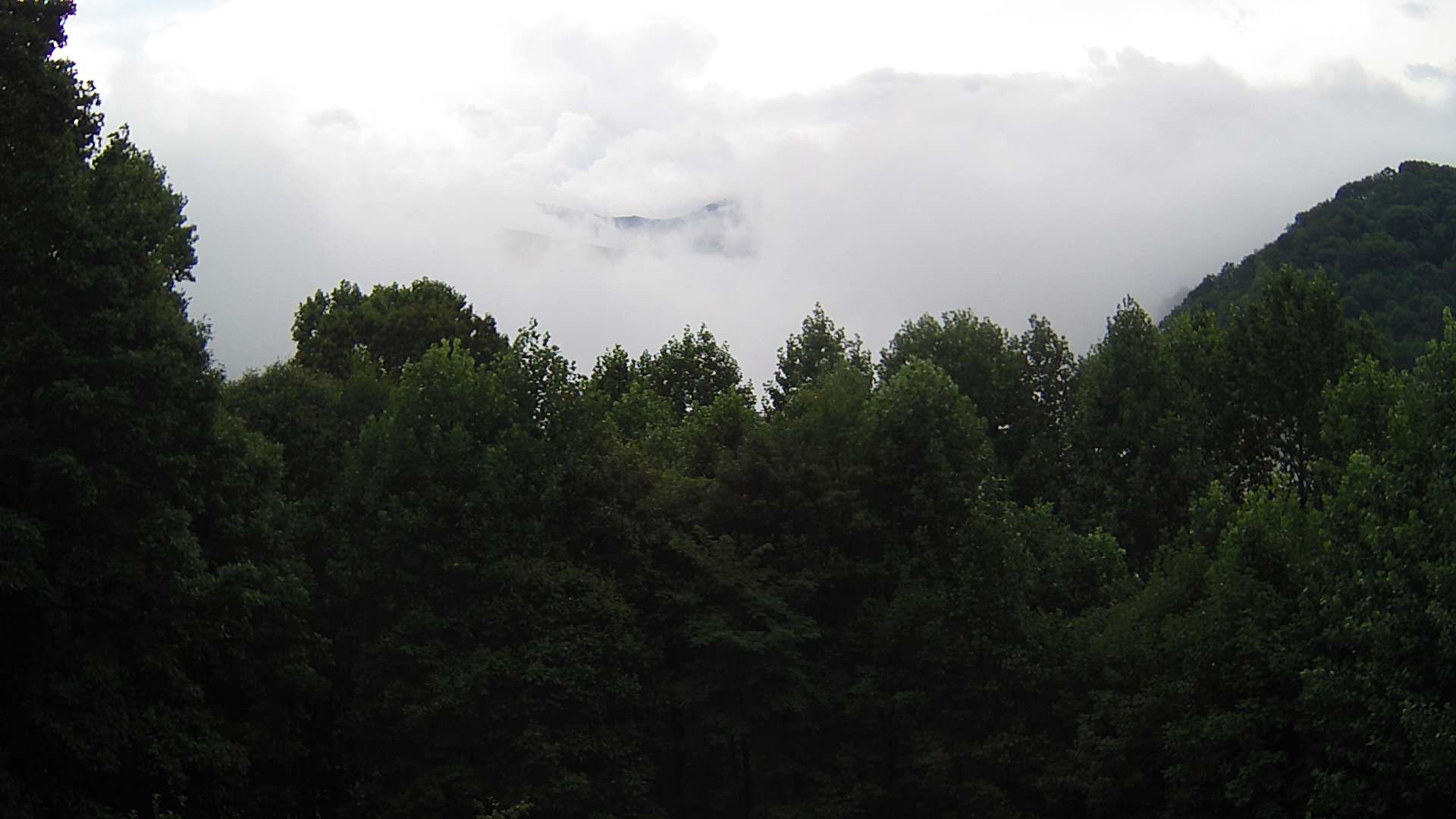 click for next image... slideshow image