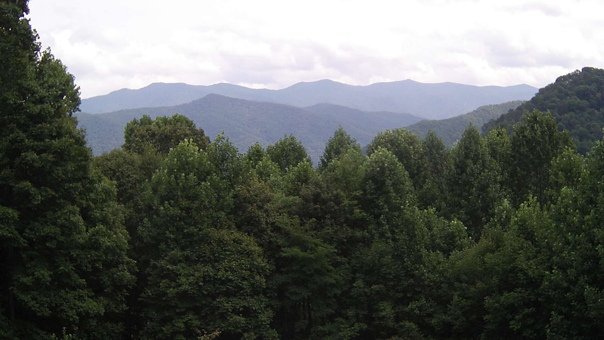 click for next image... slideshow image