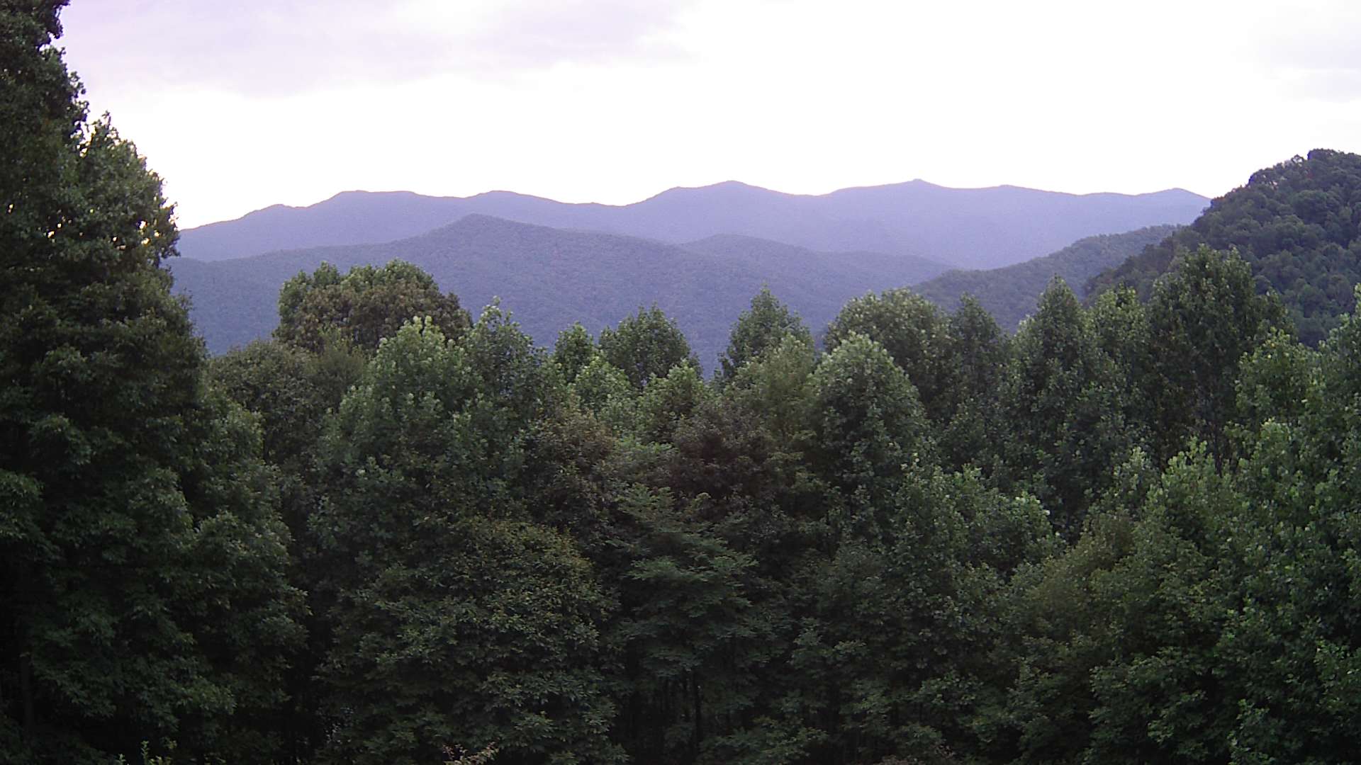 click for next image... slideshow image