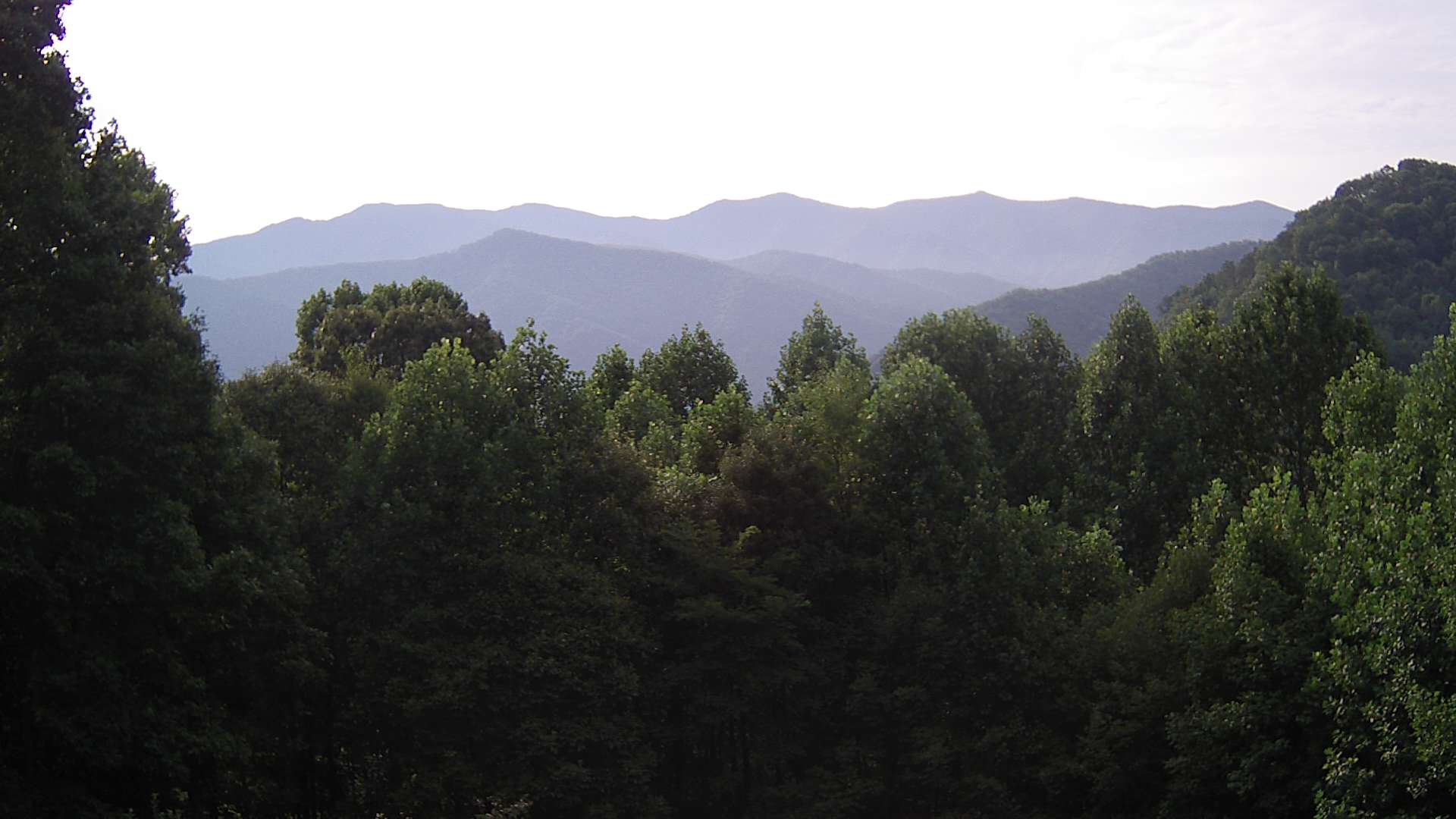 click for next image... slideshow image