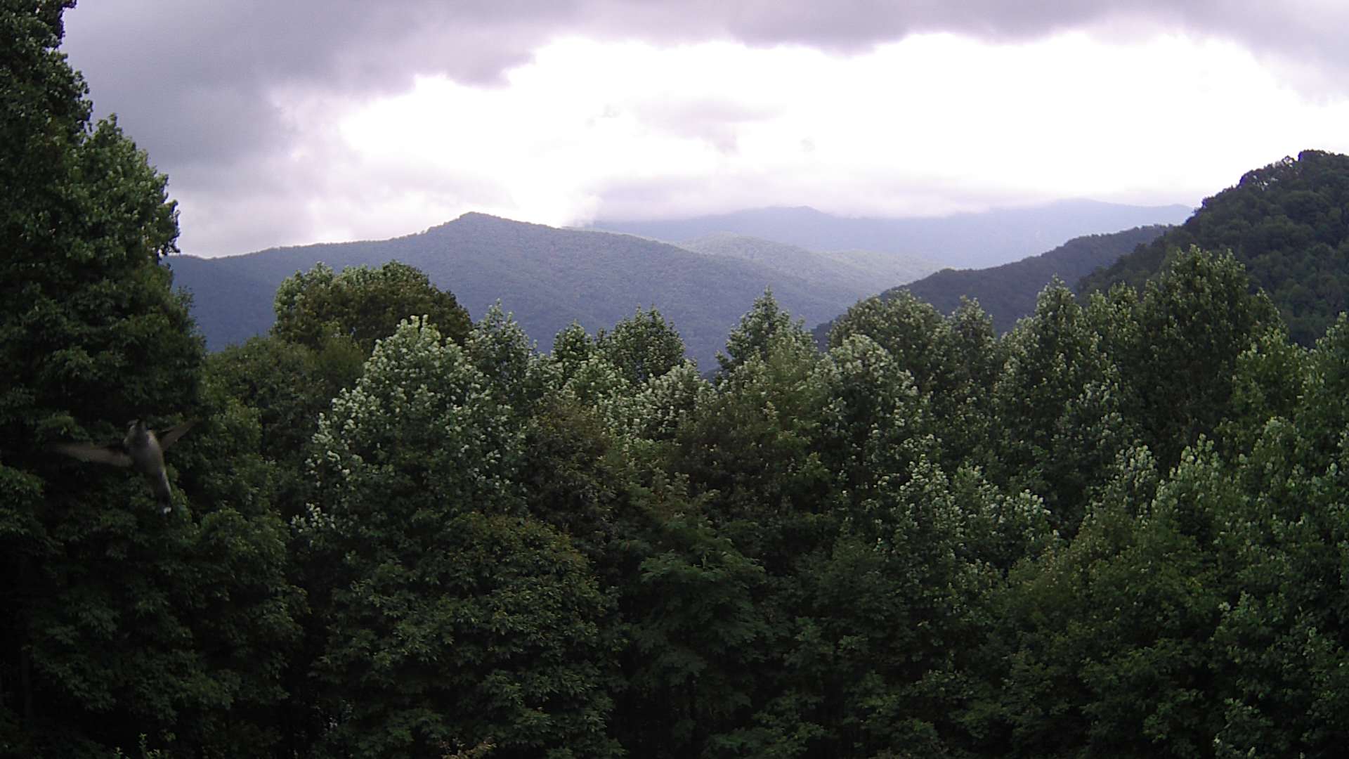 click for next image... slideshow image