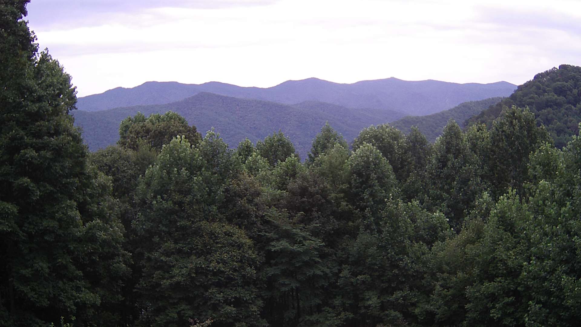 click for next image... slideshow image