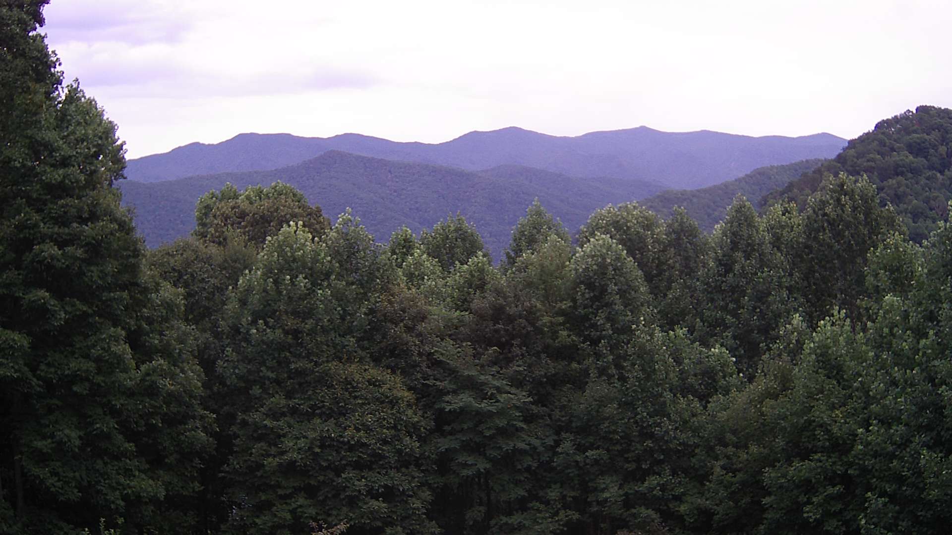 click for next image... slideshow image