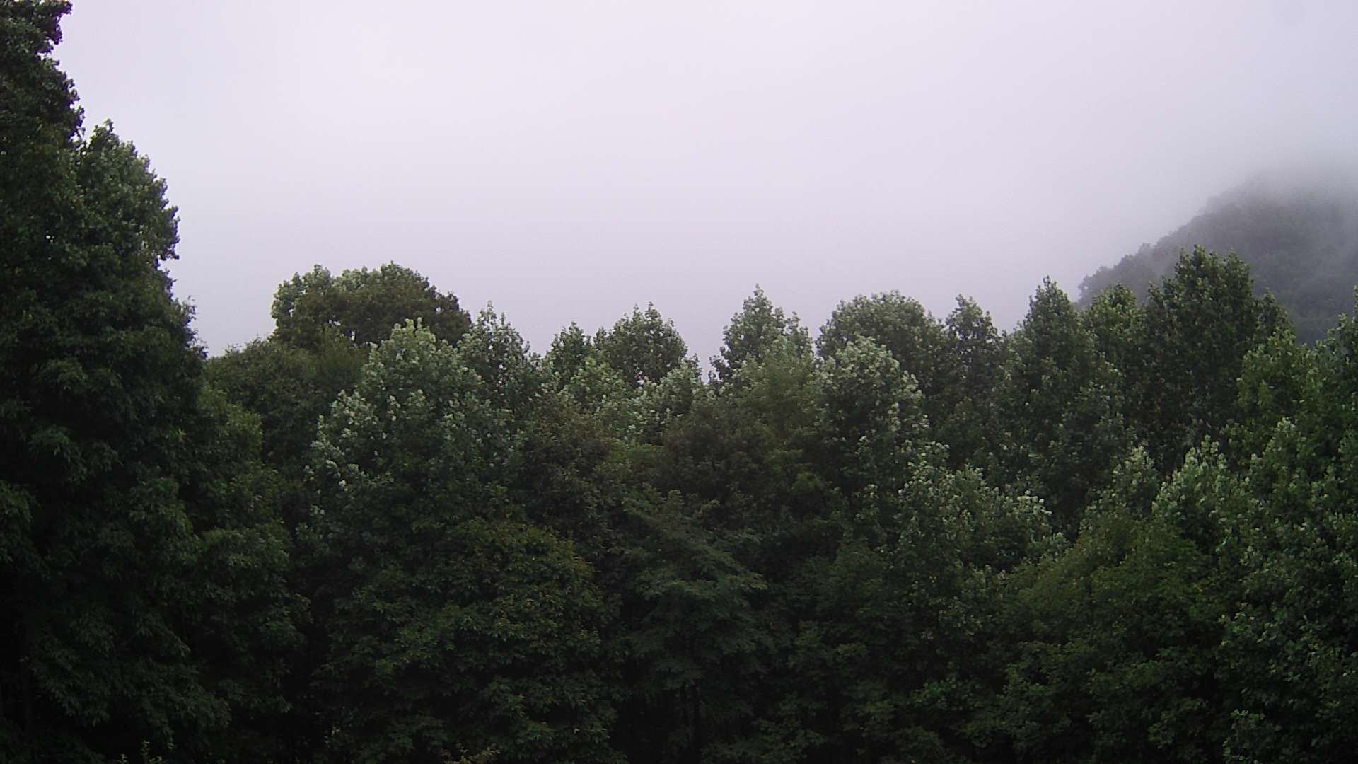 click for next image... slideshow image