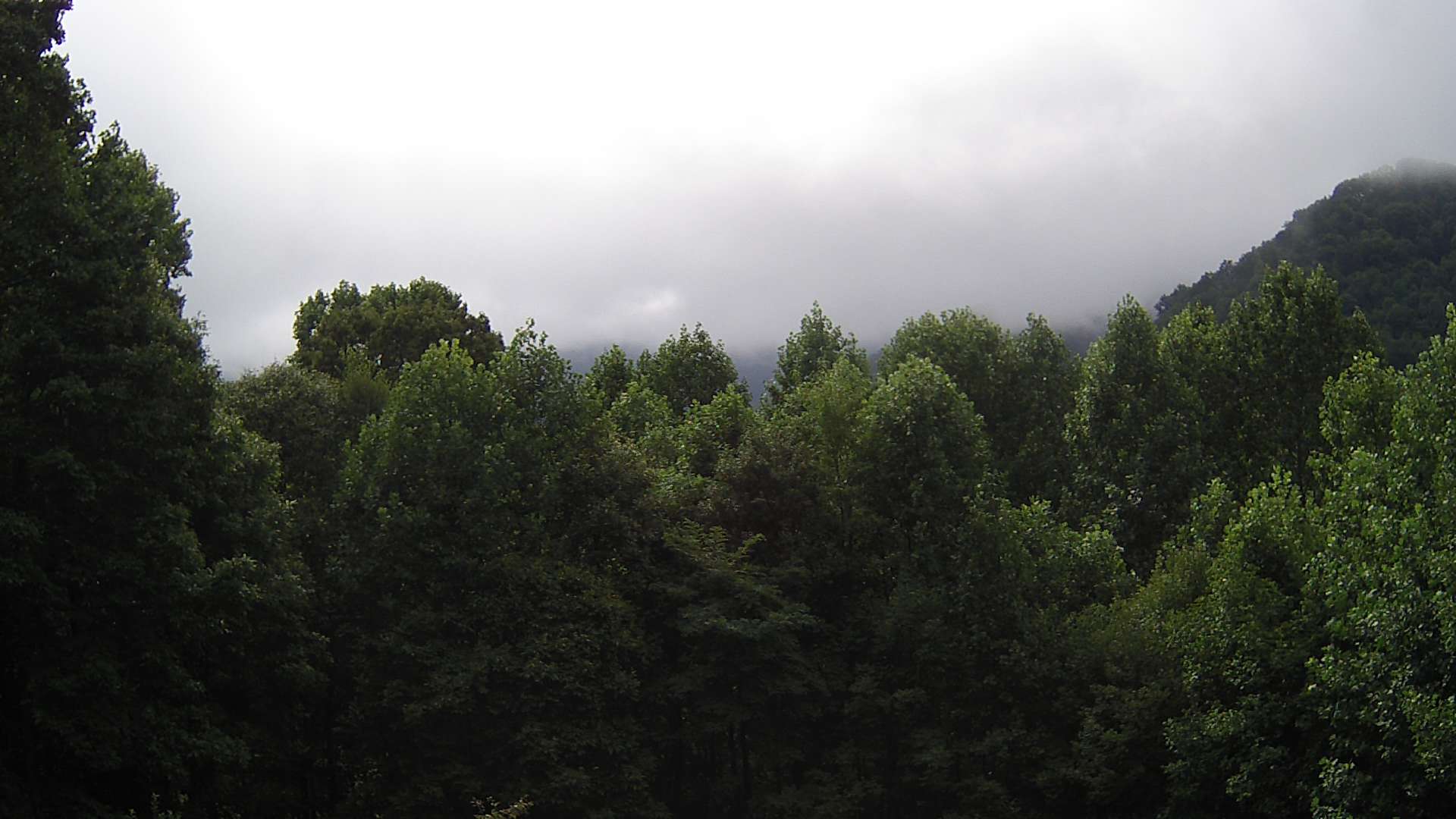 click for next image... slideshow image