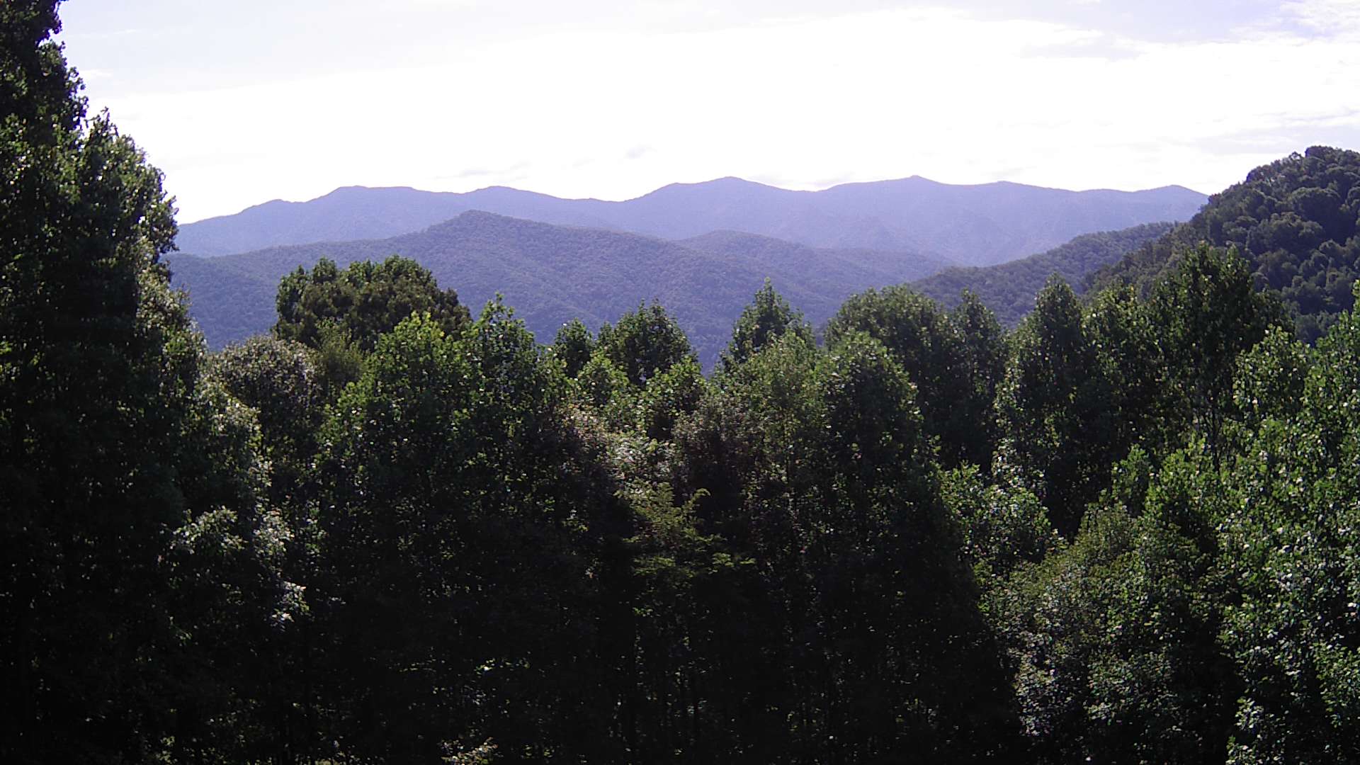 click for next image... slideshow image