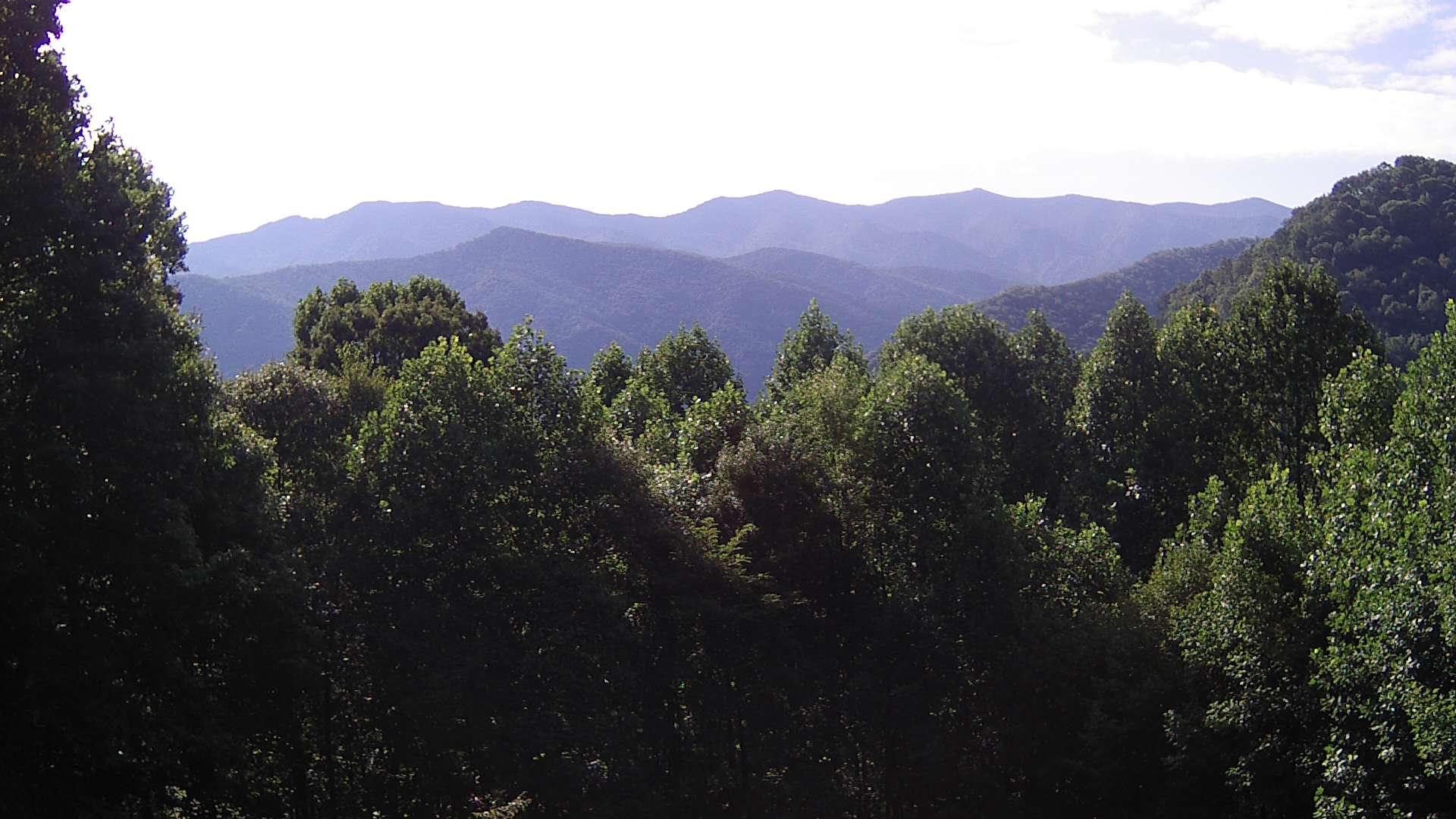 click for next image... slideshow image