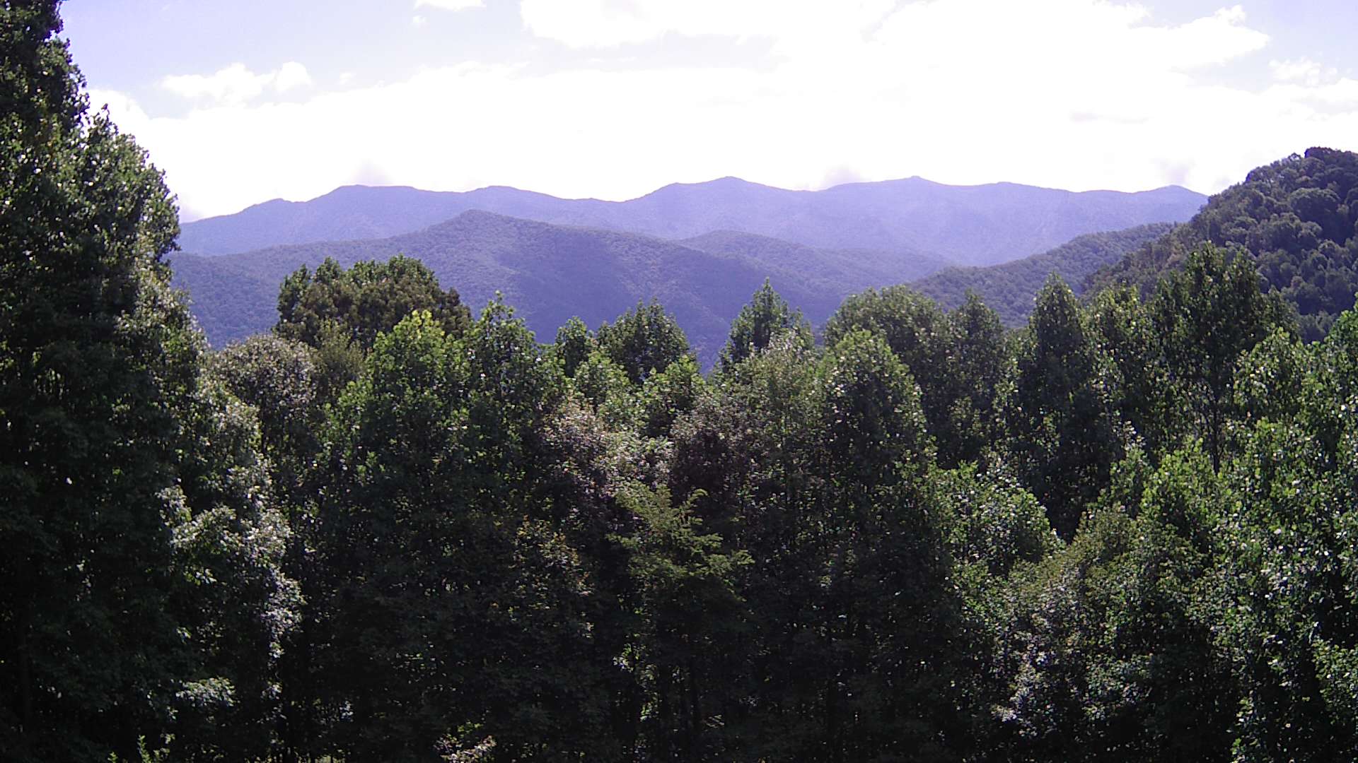 click for next image... slideshow image