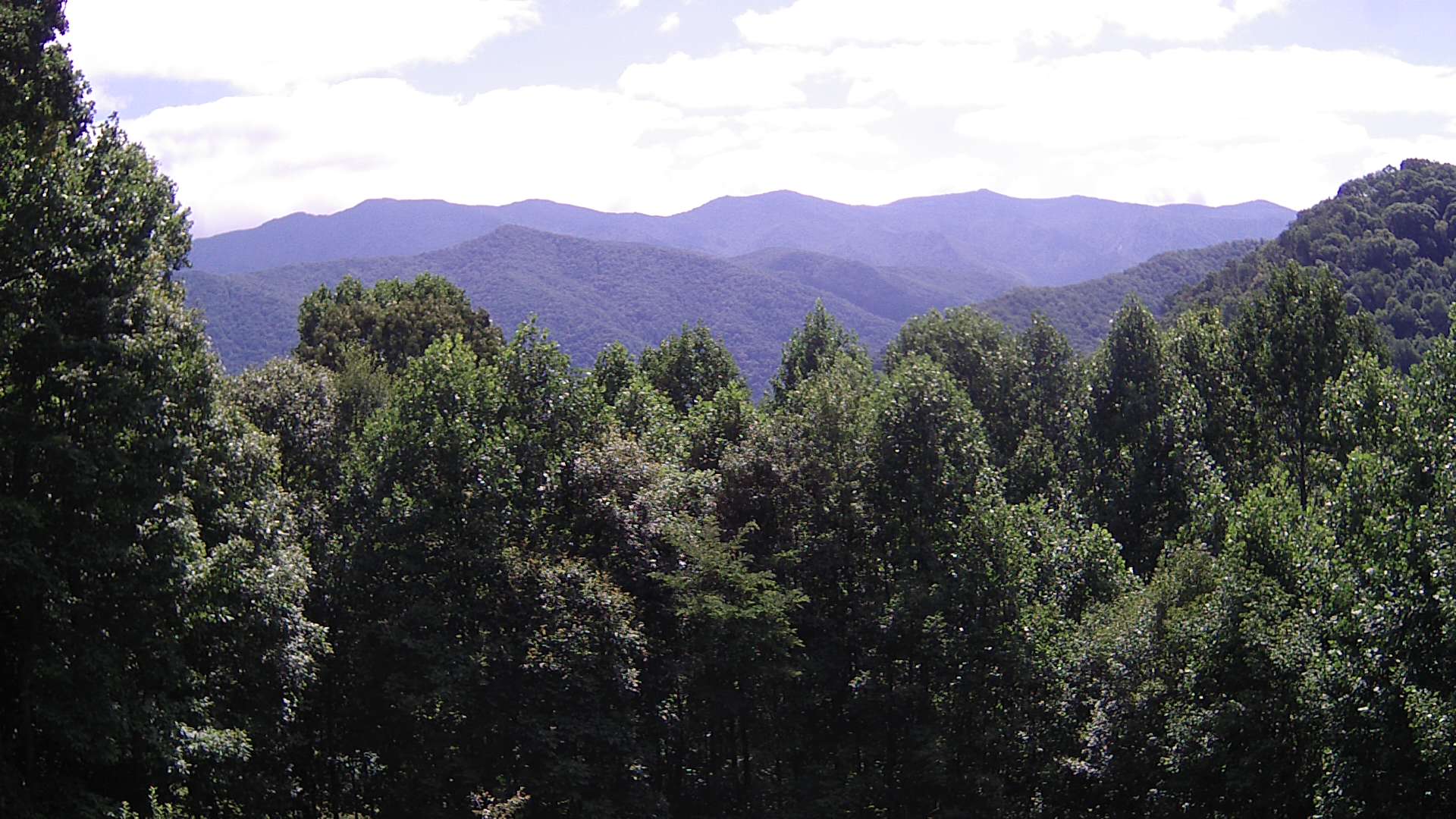 click for next image... slideshow image