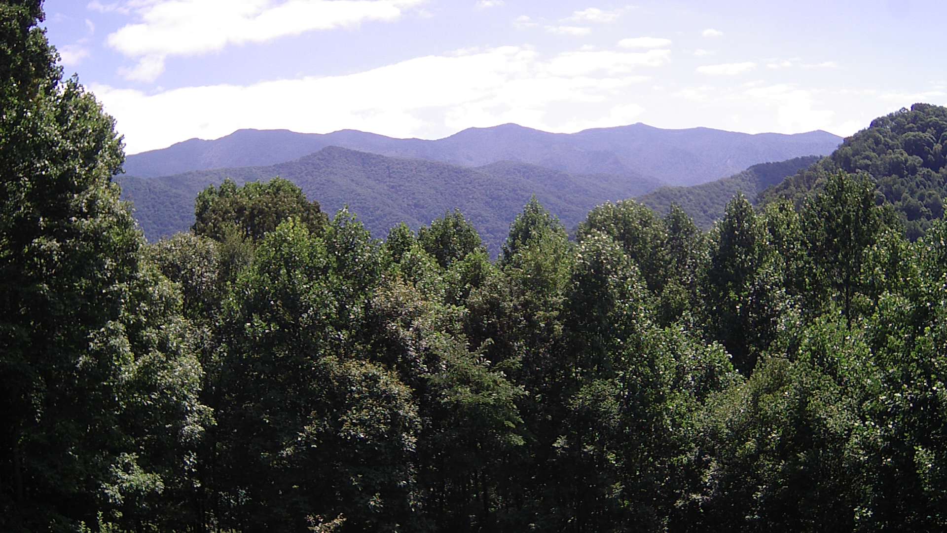 click for next image... slideshow image