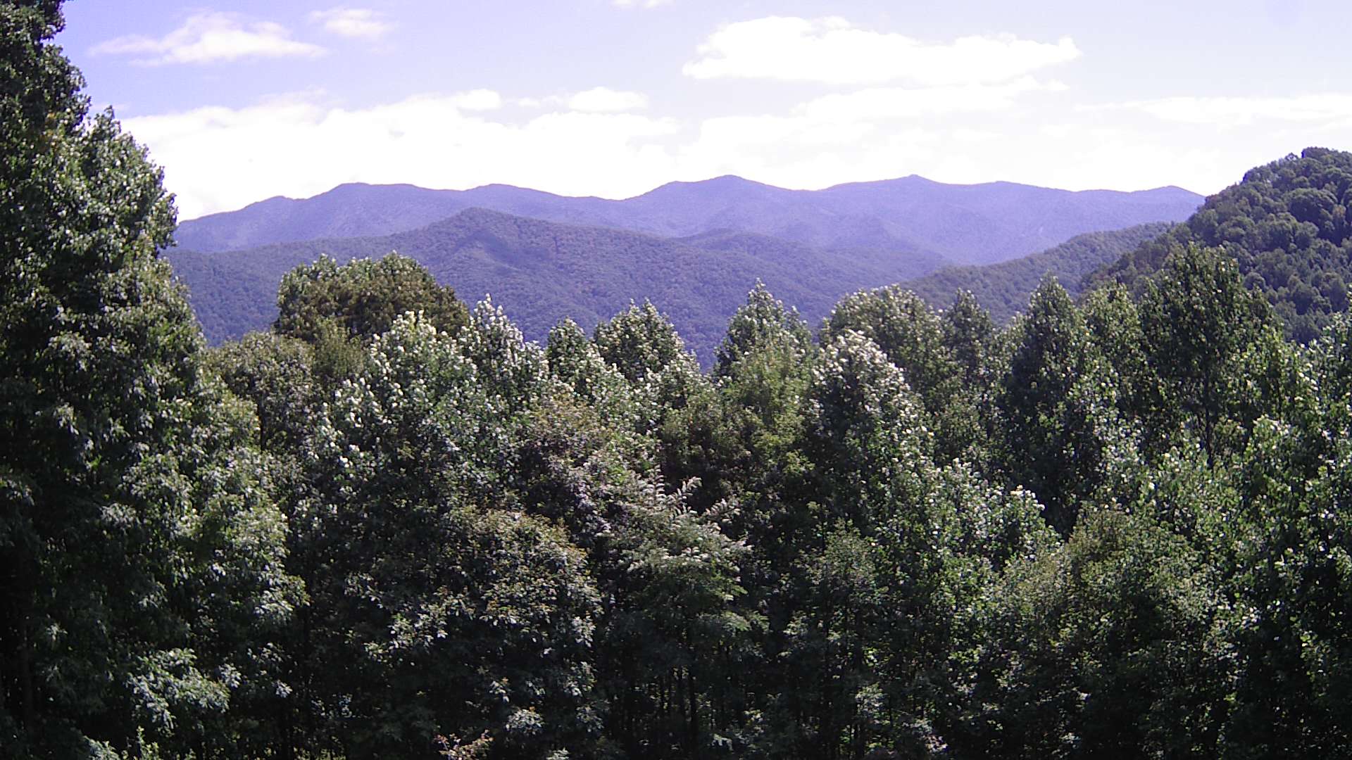 click for next image... slideshow image